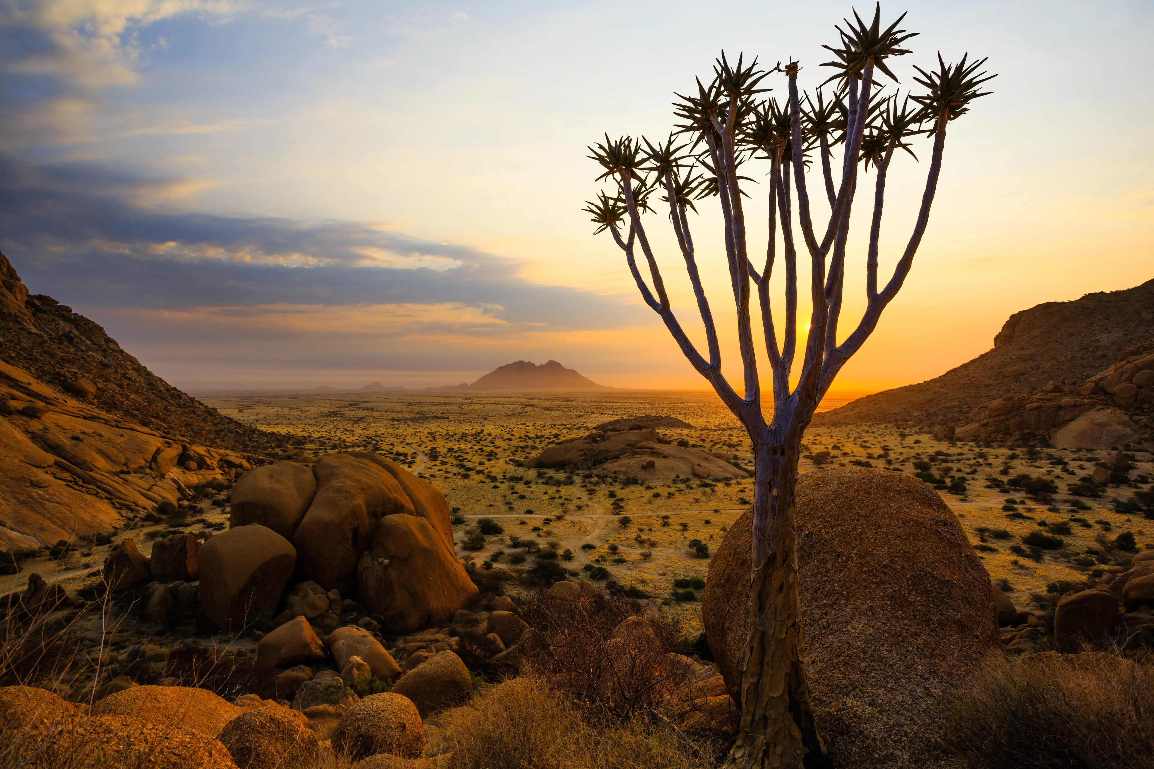 View of the Namib desert landscape