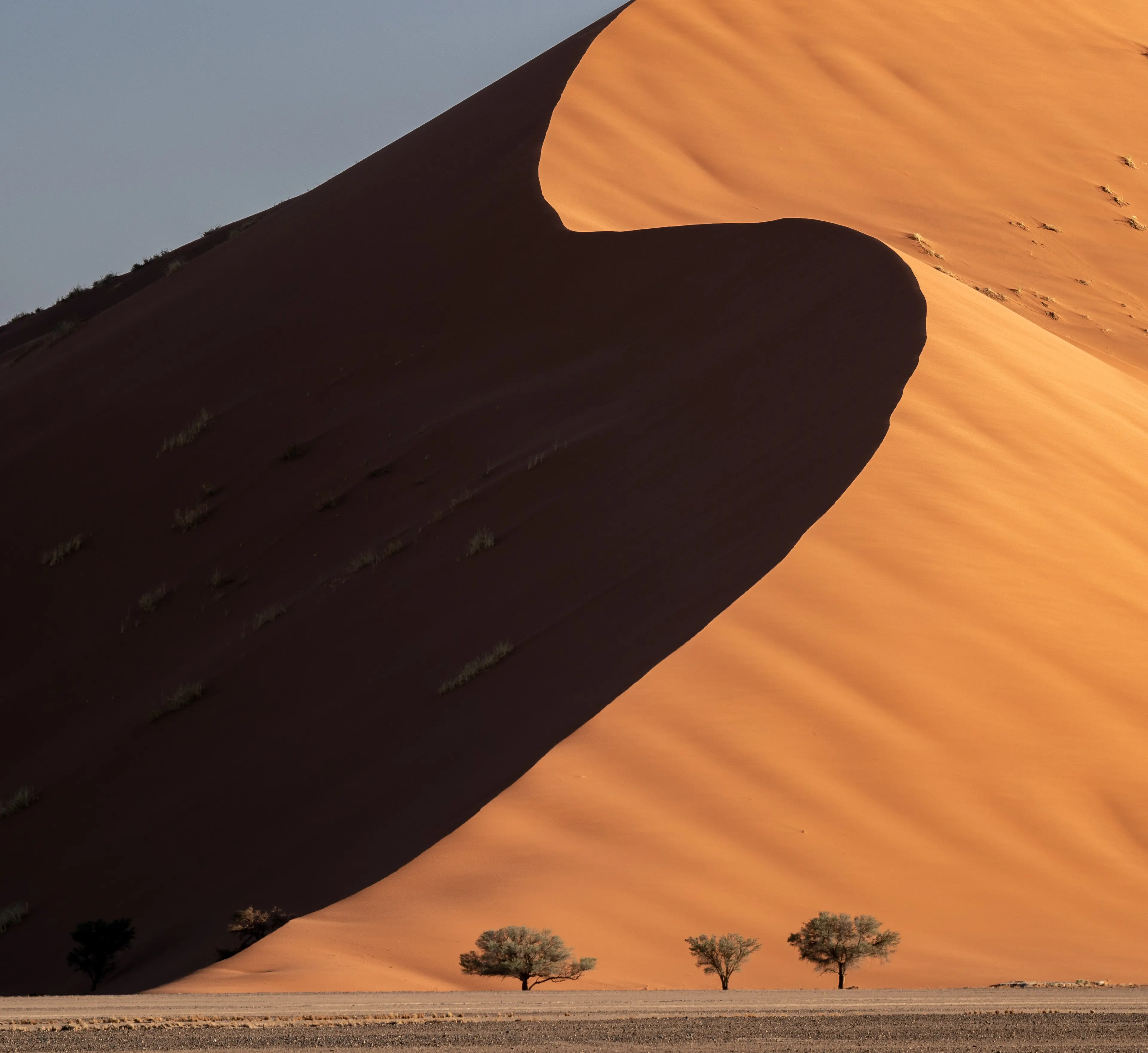 The Namib Desert, the oldest desert in the world
