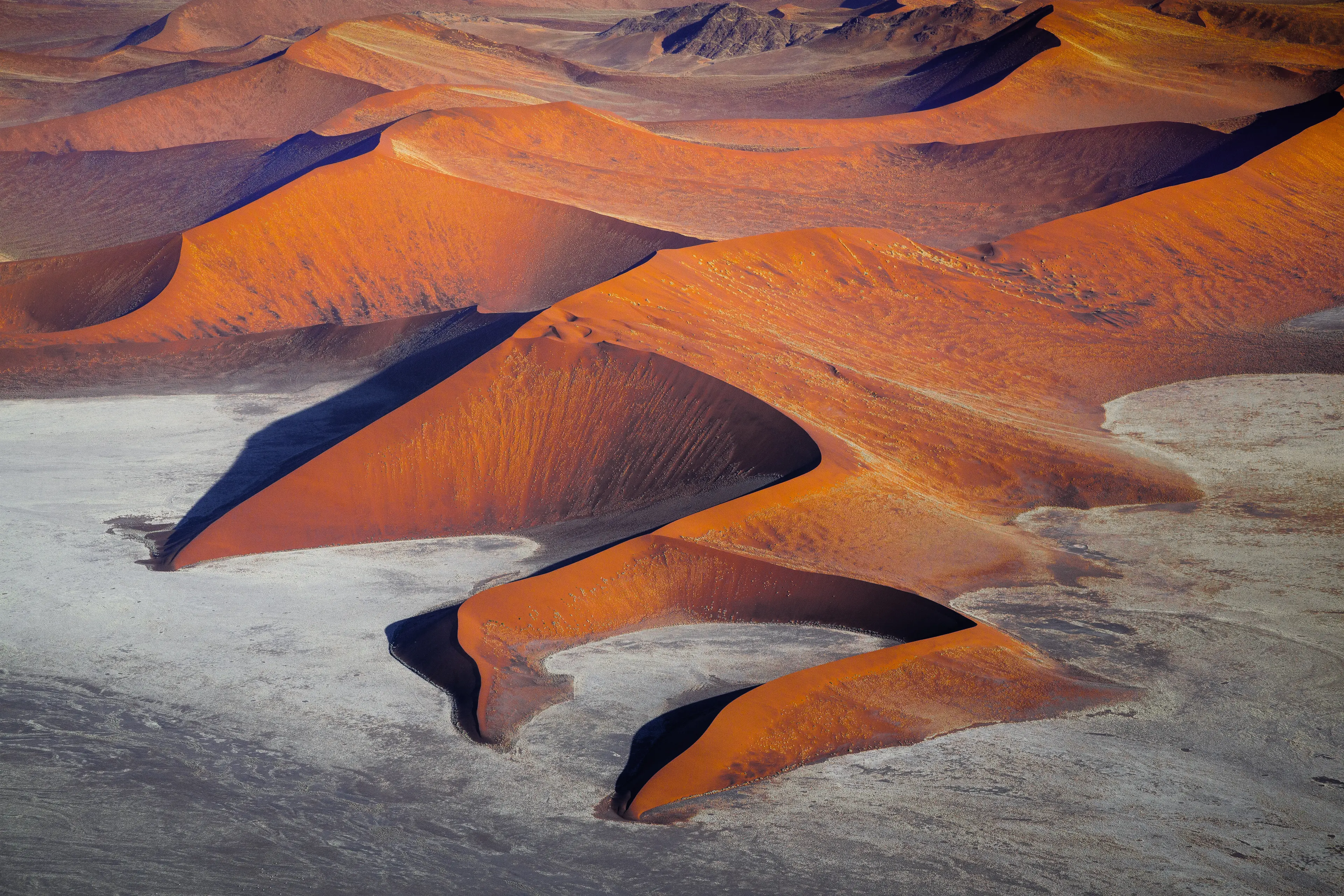 Desert landscape