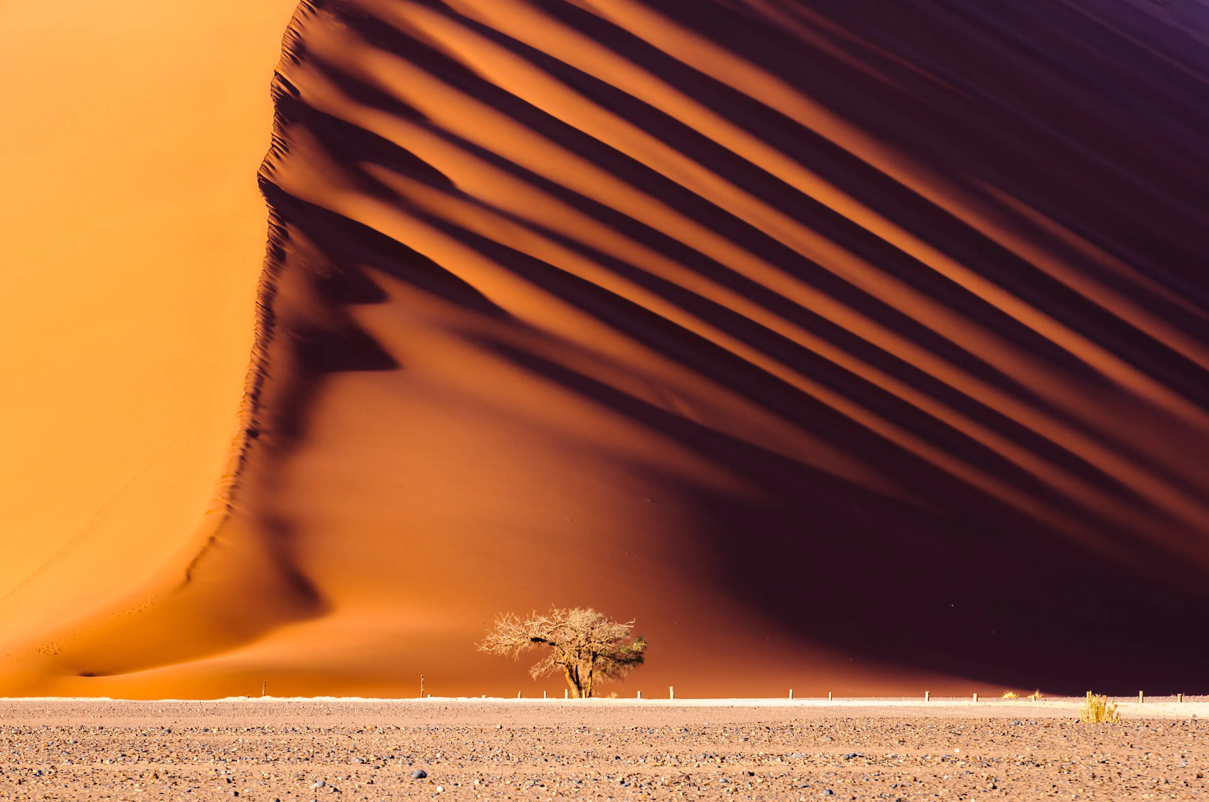 Dune 45, a massive red sand dune in the Namib Desert