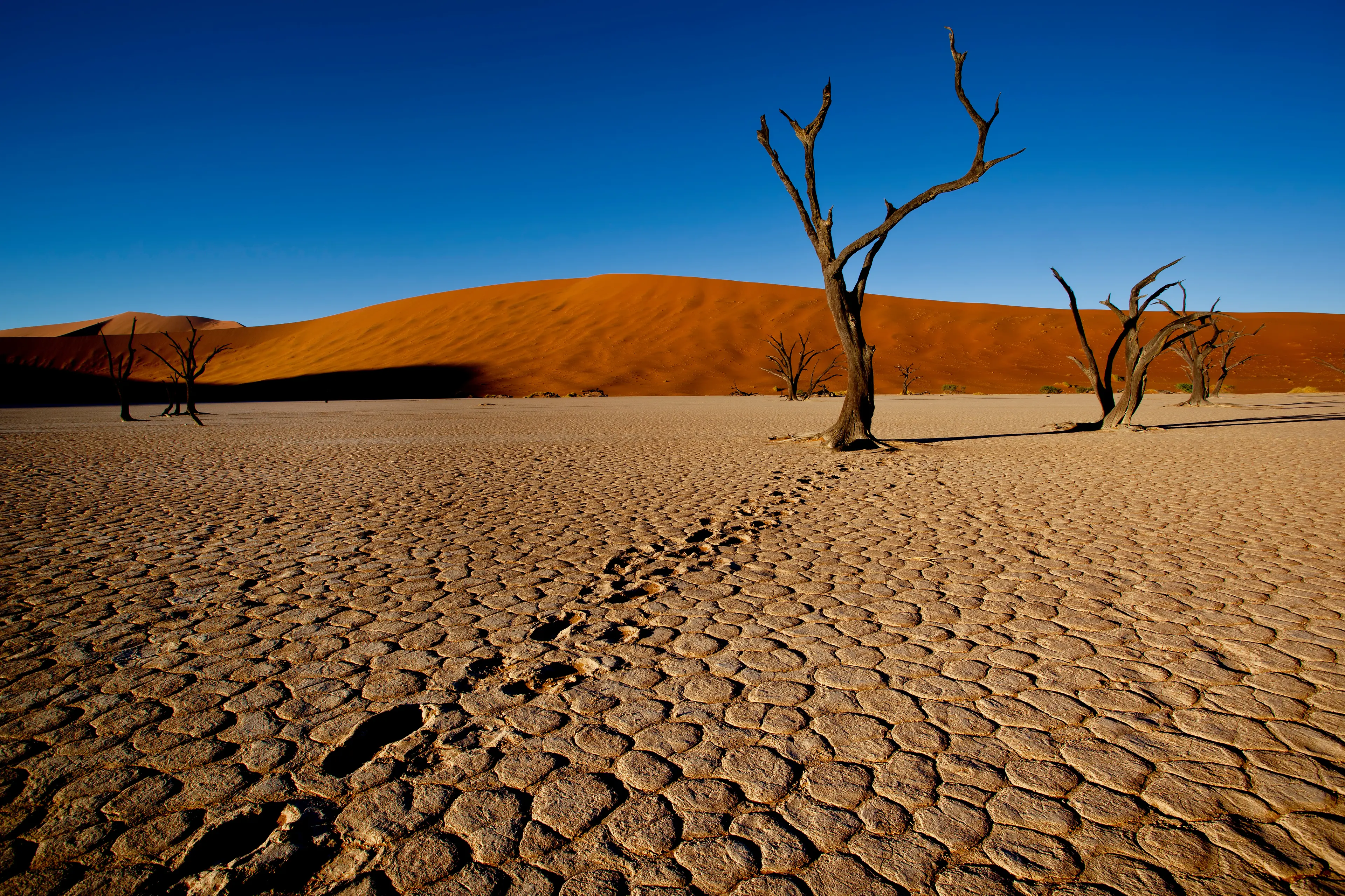 Desert landscape Desert landscape