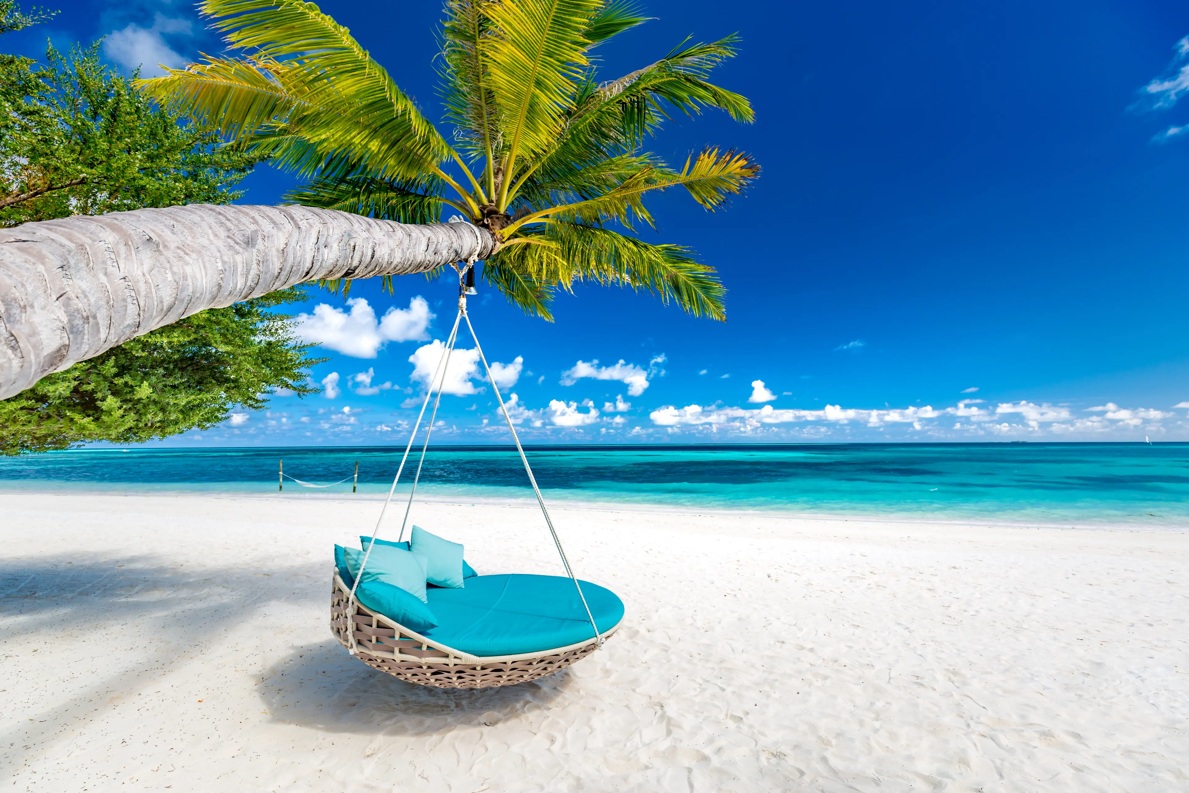 Tropical beach Tropical beach