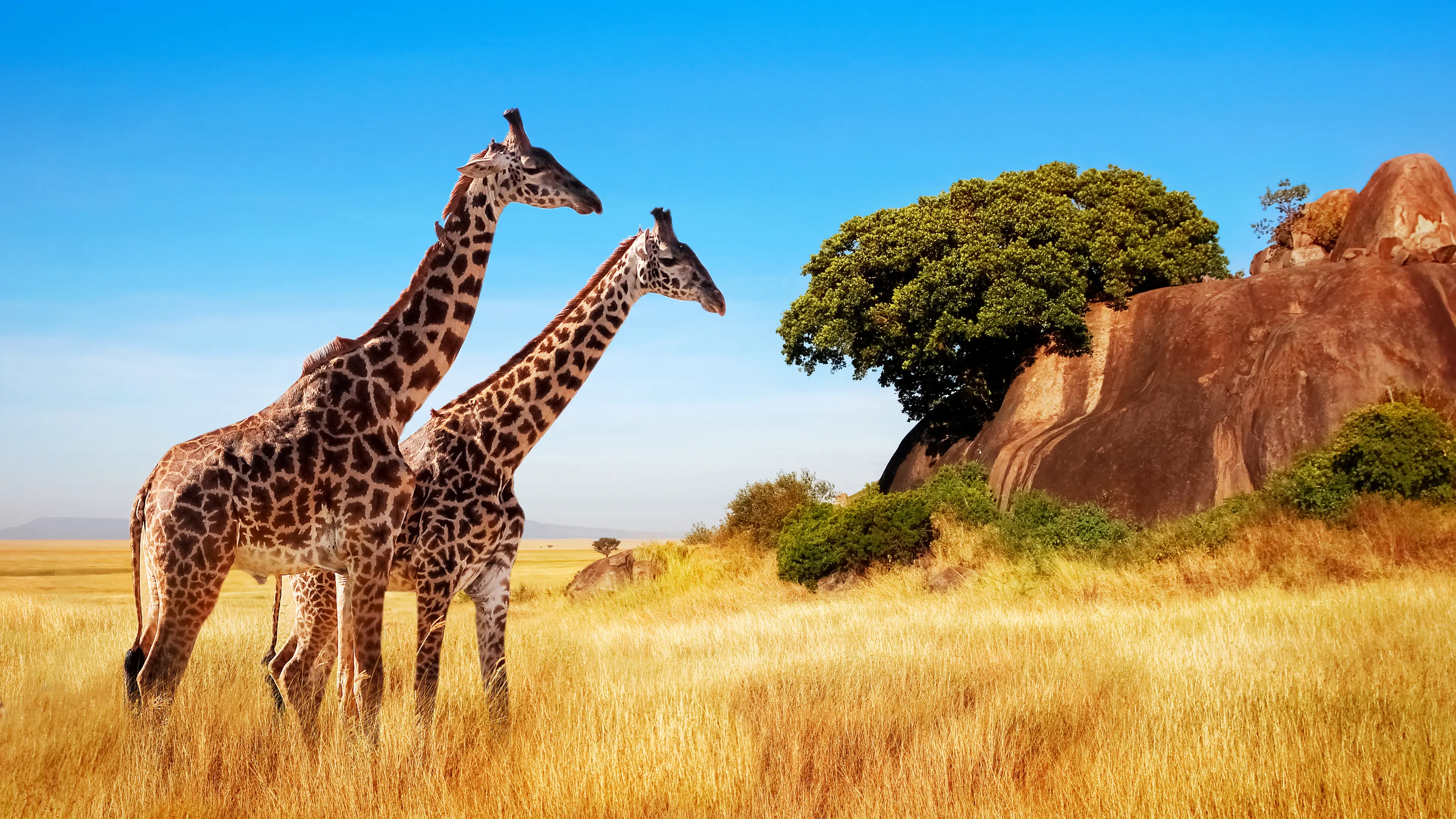 4-Day Family Adventure and Outdoor Activities in Serengeti Park