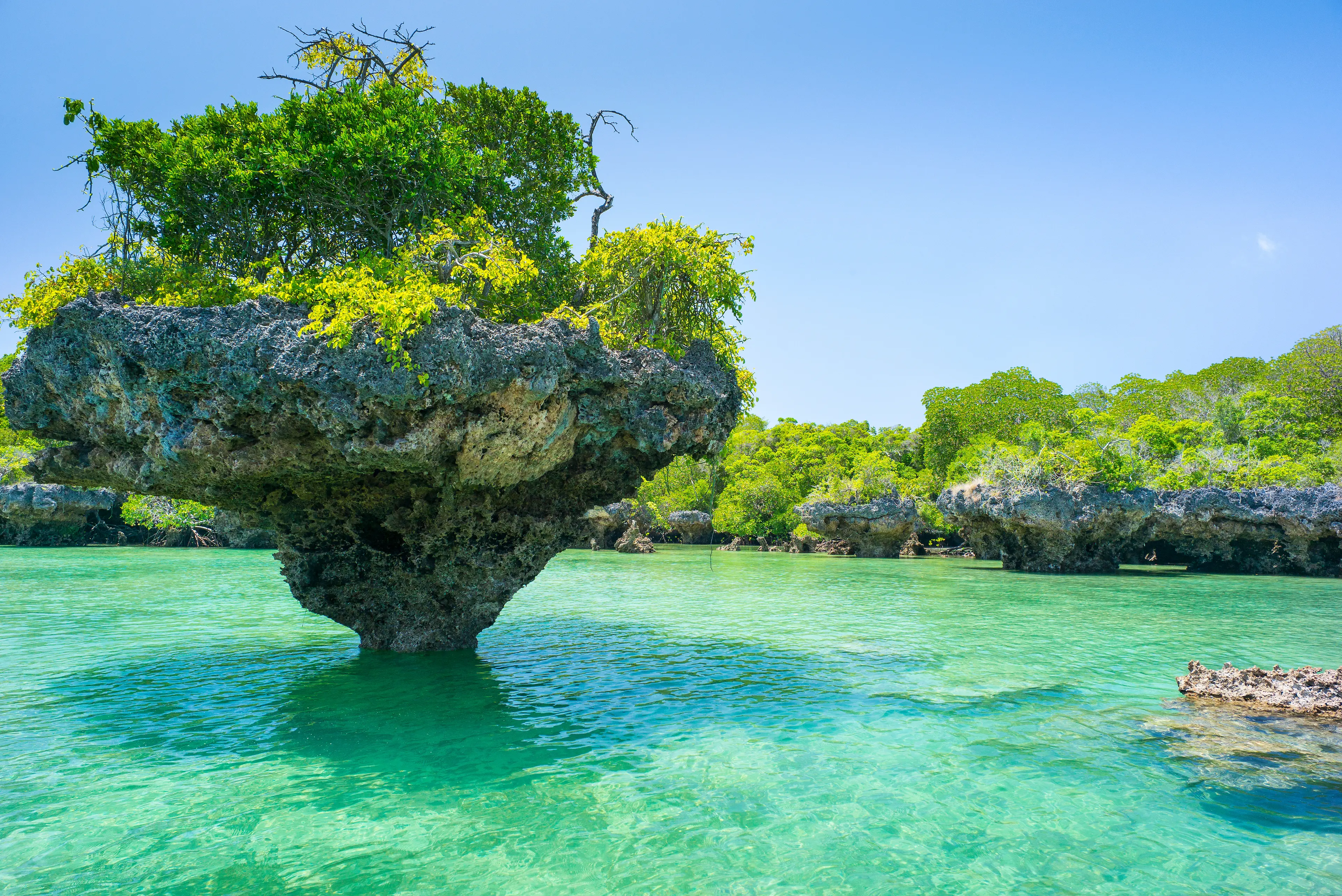 Stone rock with trees in lagoon