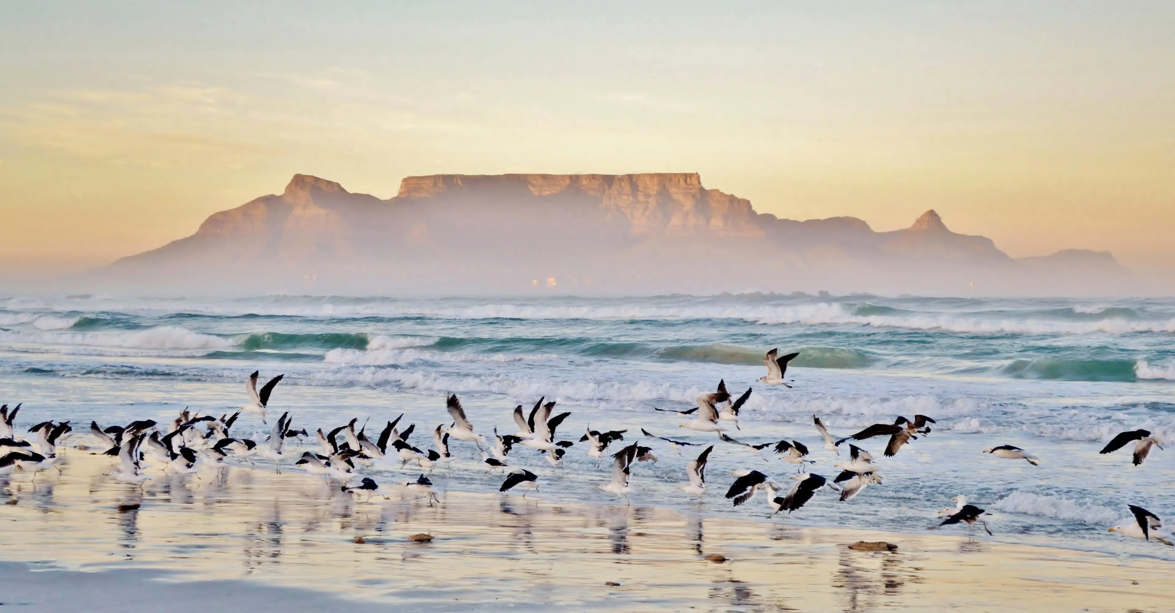 Explore Cape Town: Unforgettable 3-Day South Africa Adventure