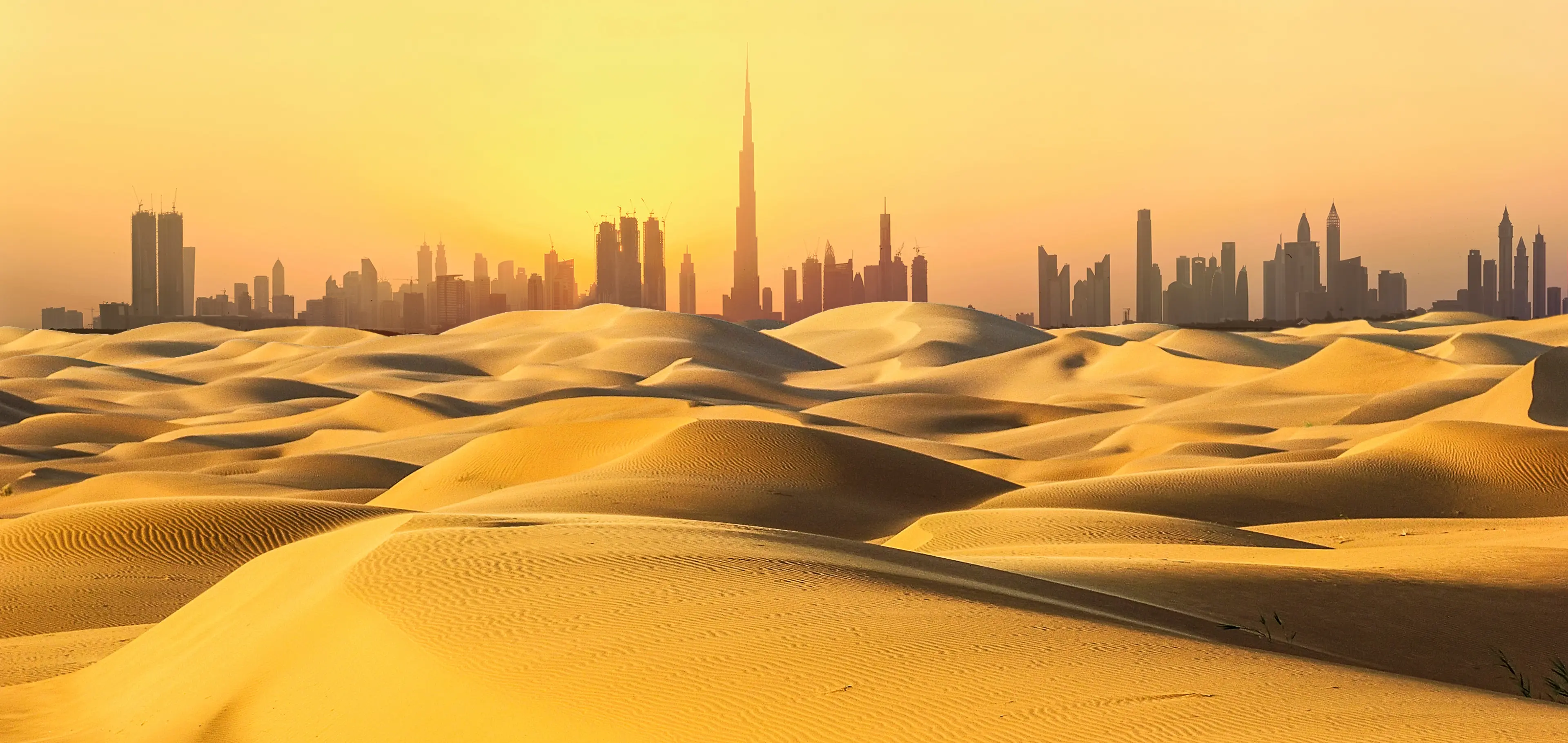 Skyline in desert