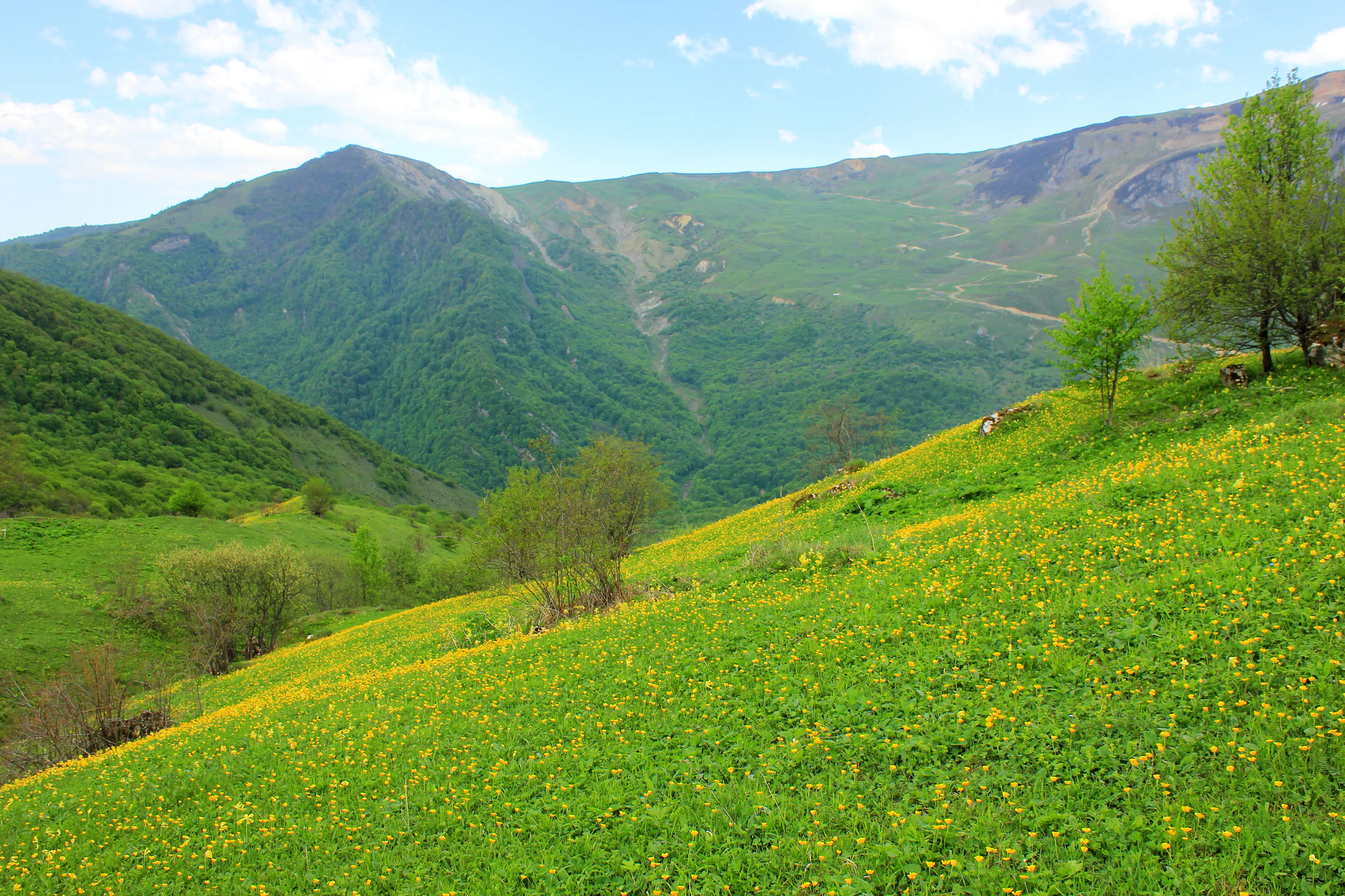 Mountain fields near Gryzdakhnya Mountain fields near Gryzdakhnya