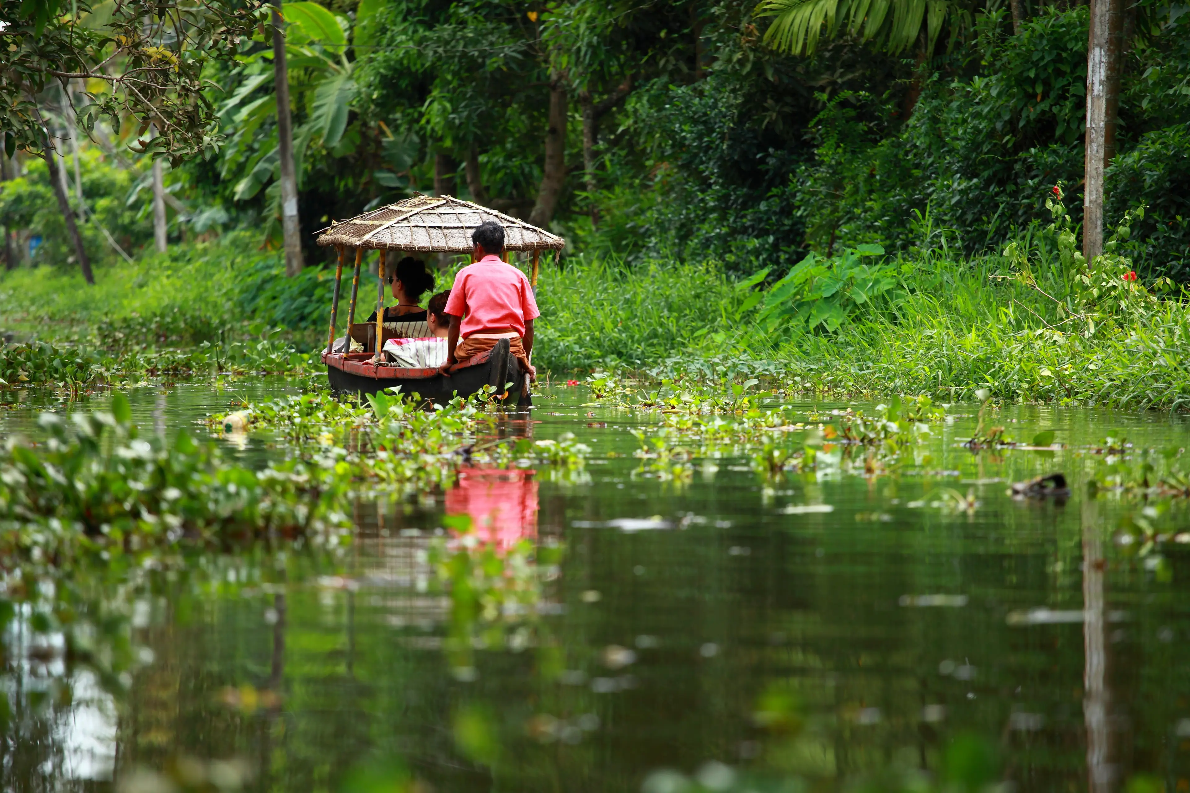 Boat transporting people through a lush tropical forest