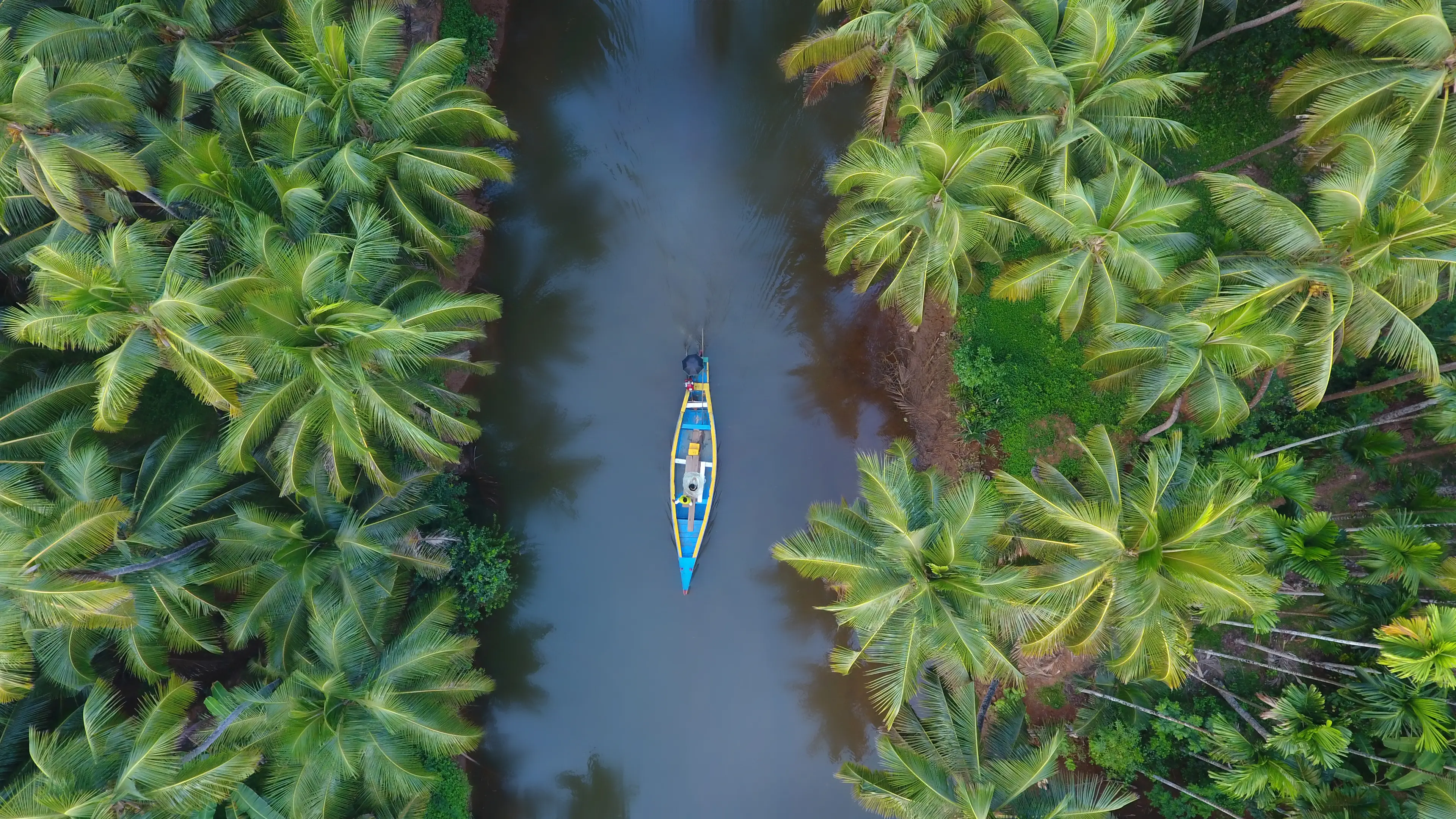 Boat flowing through the waters of a jungle river Boat flowing through the waters of a jungle river