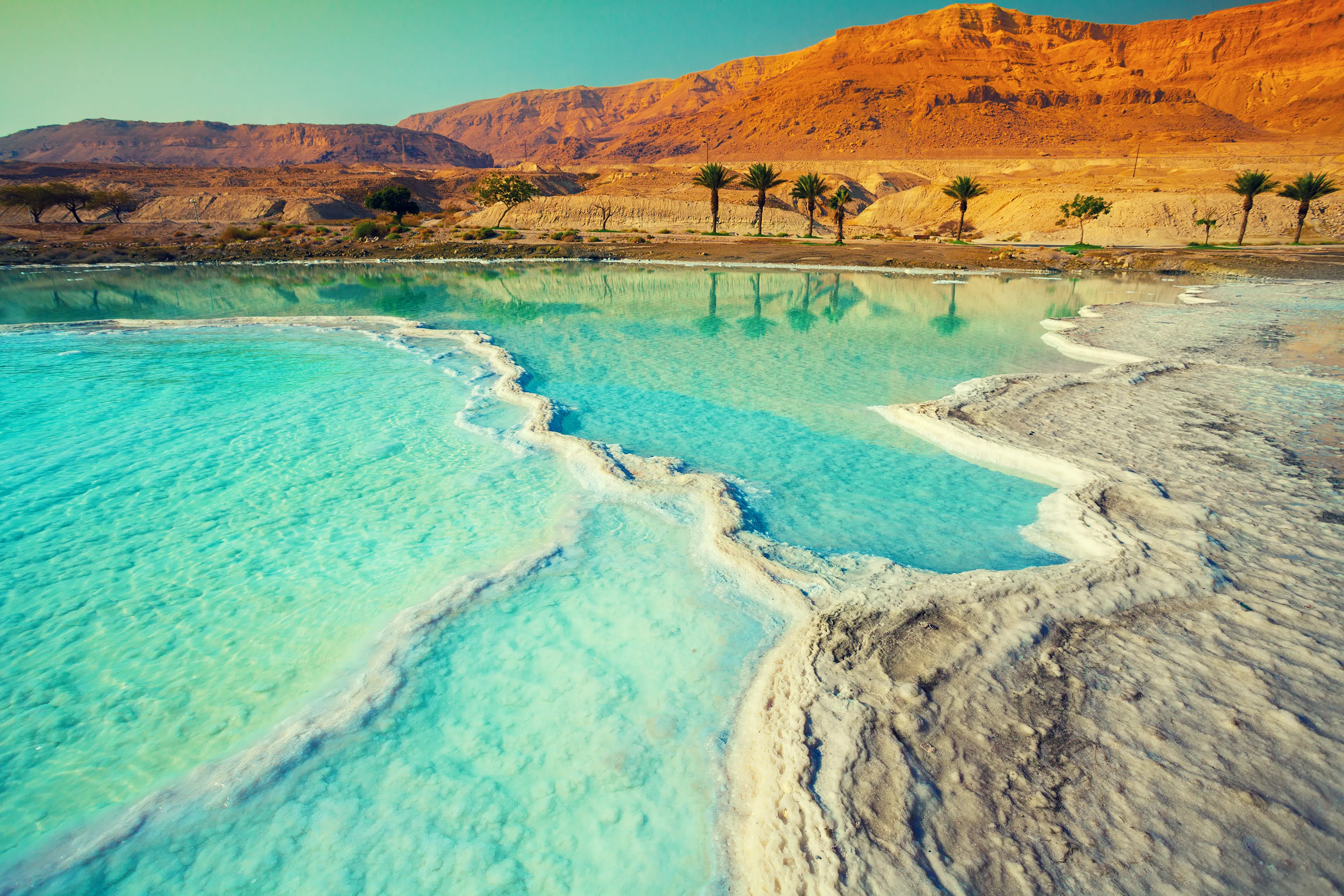 1-Day Family Adventure: Unusual Dead Sea Experiences with Nightlife