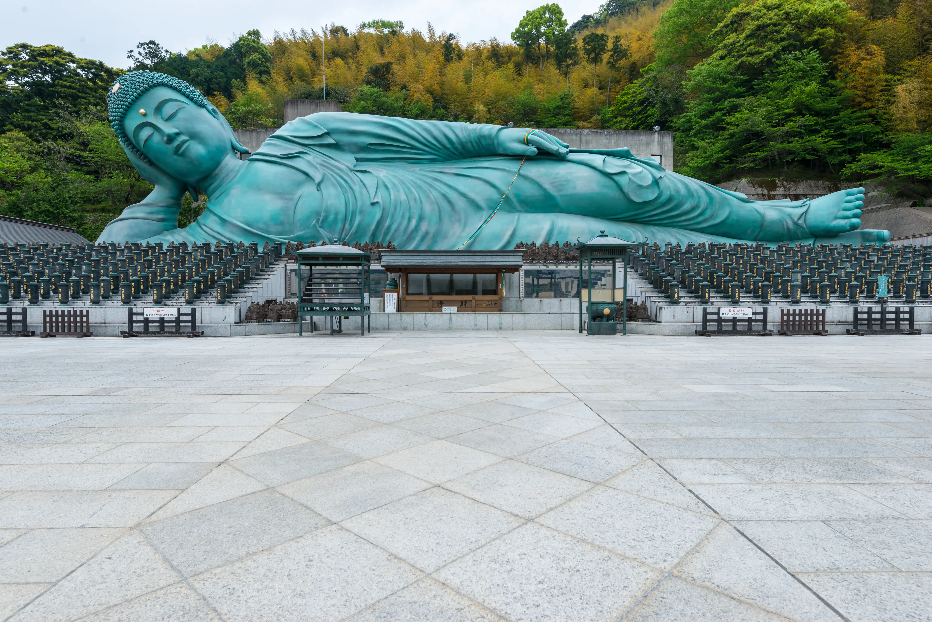 The Reclining Buddha of Nanzoin Temple