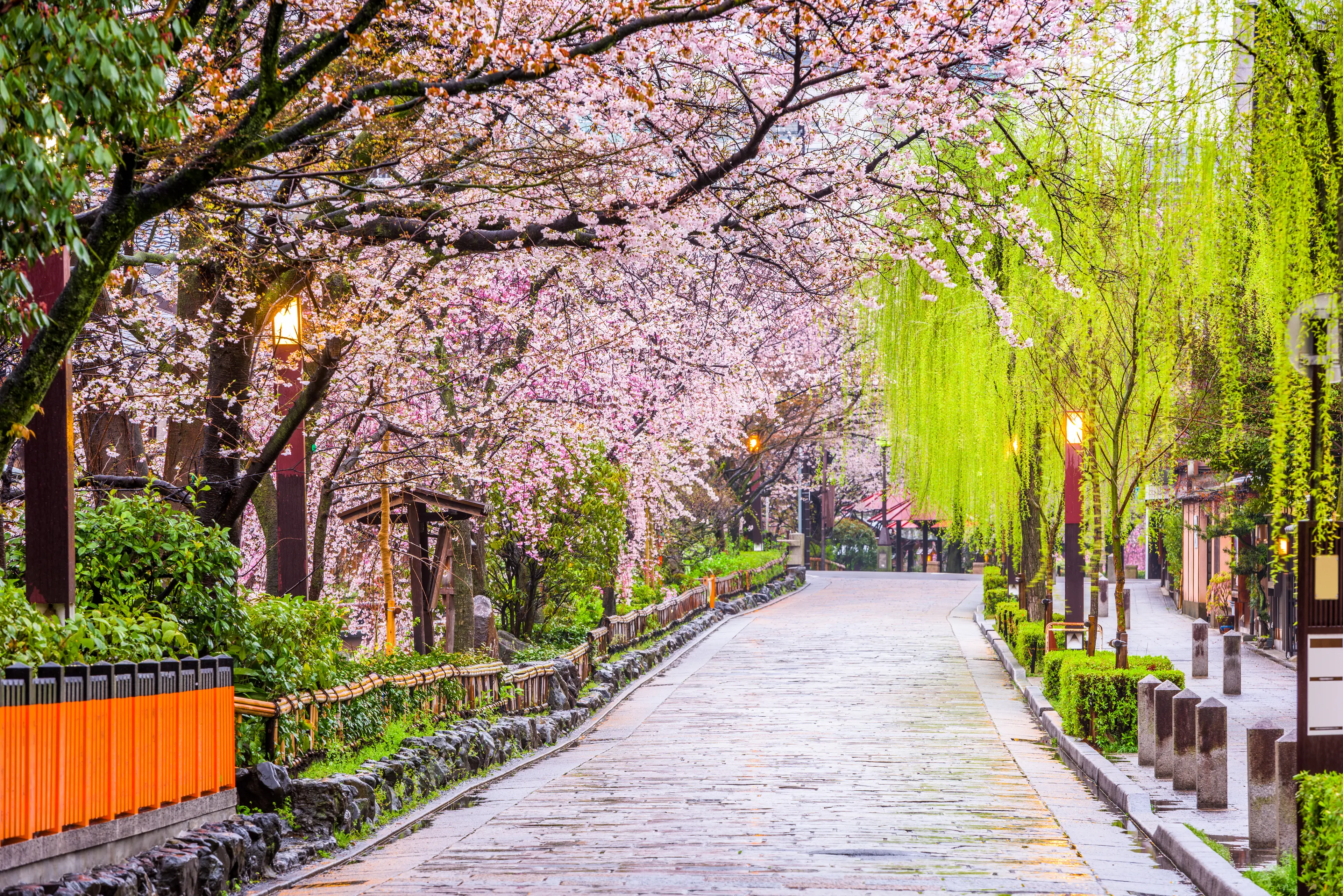 2-Day Local Kyoto Itinerary: Ultimate Shopping & Foodie Experience