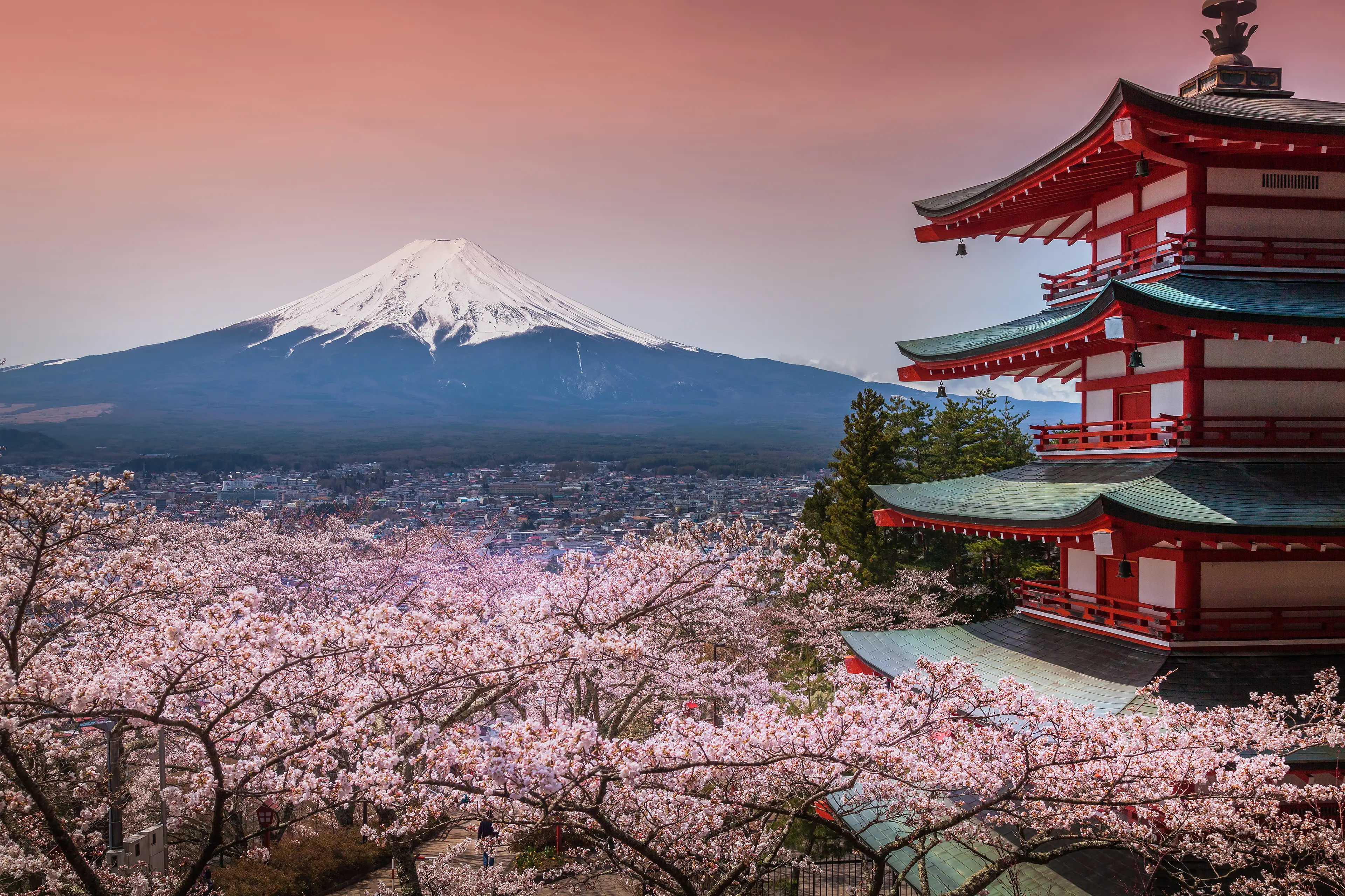 Chureito Pagoda with cherry blossoms and mountain view