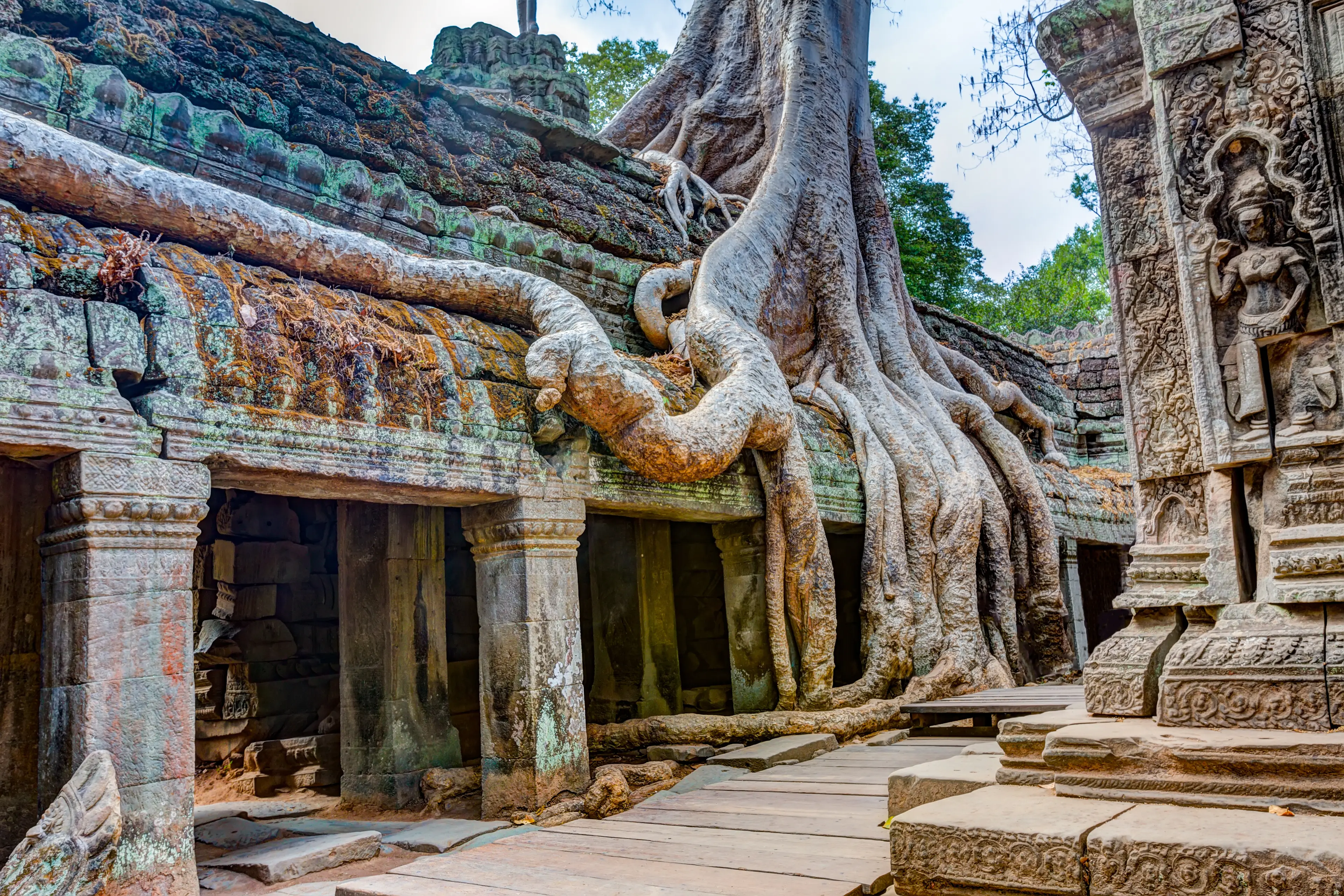 Ta Prohm Khmer ancient Buddhist temple