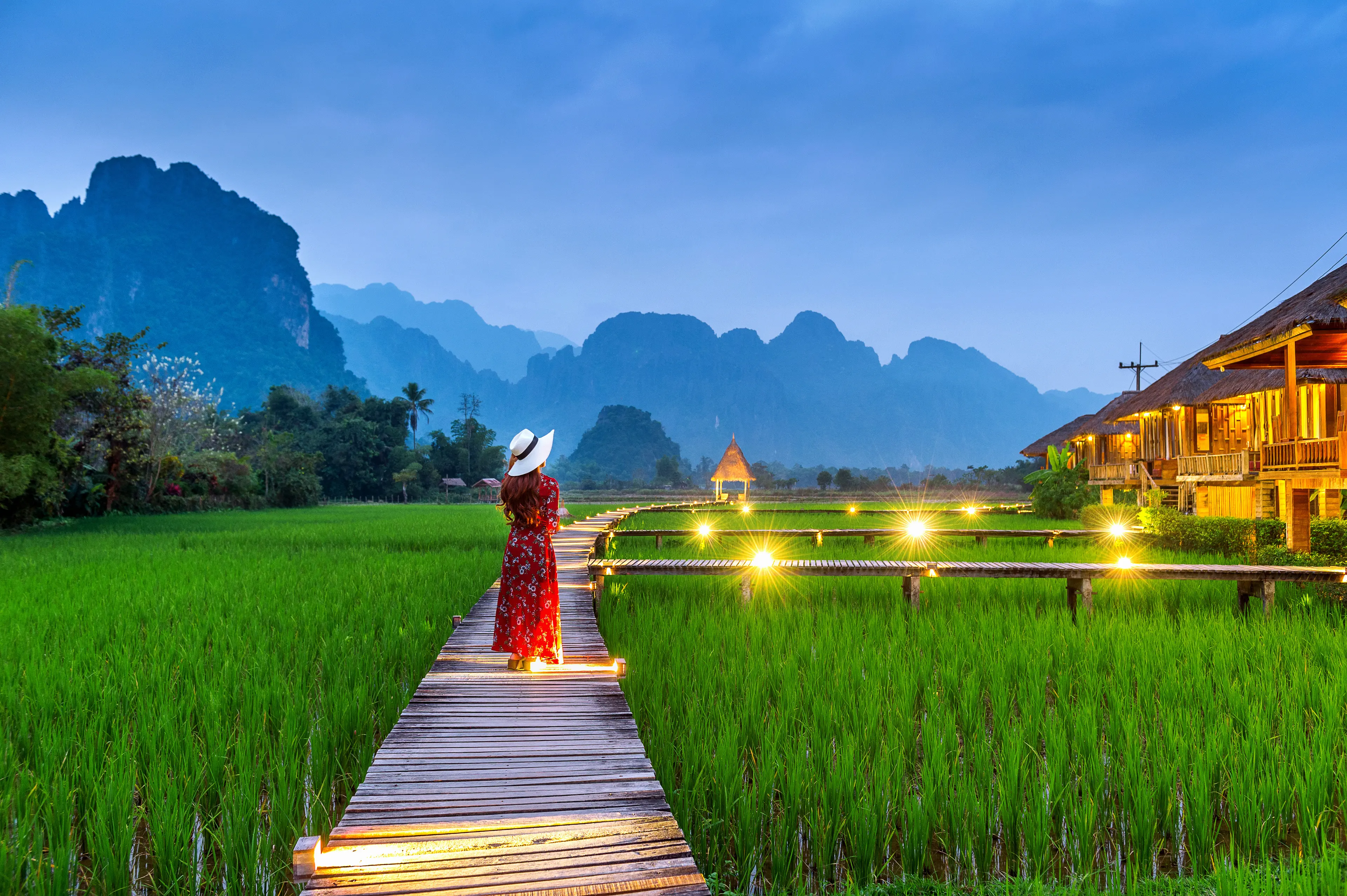 Rice fields in Vang Vieng