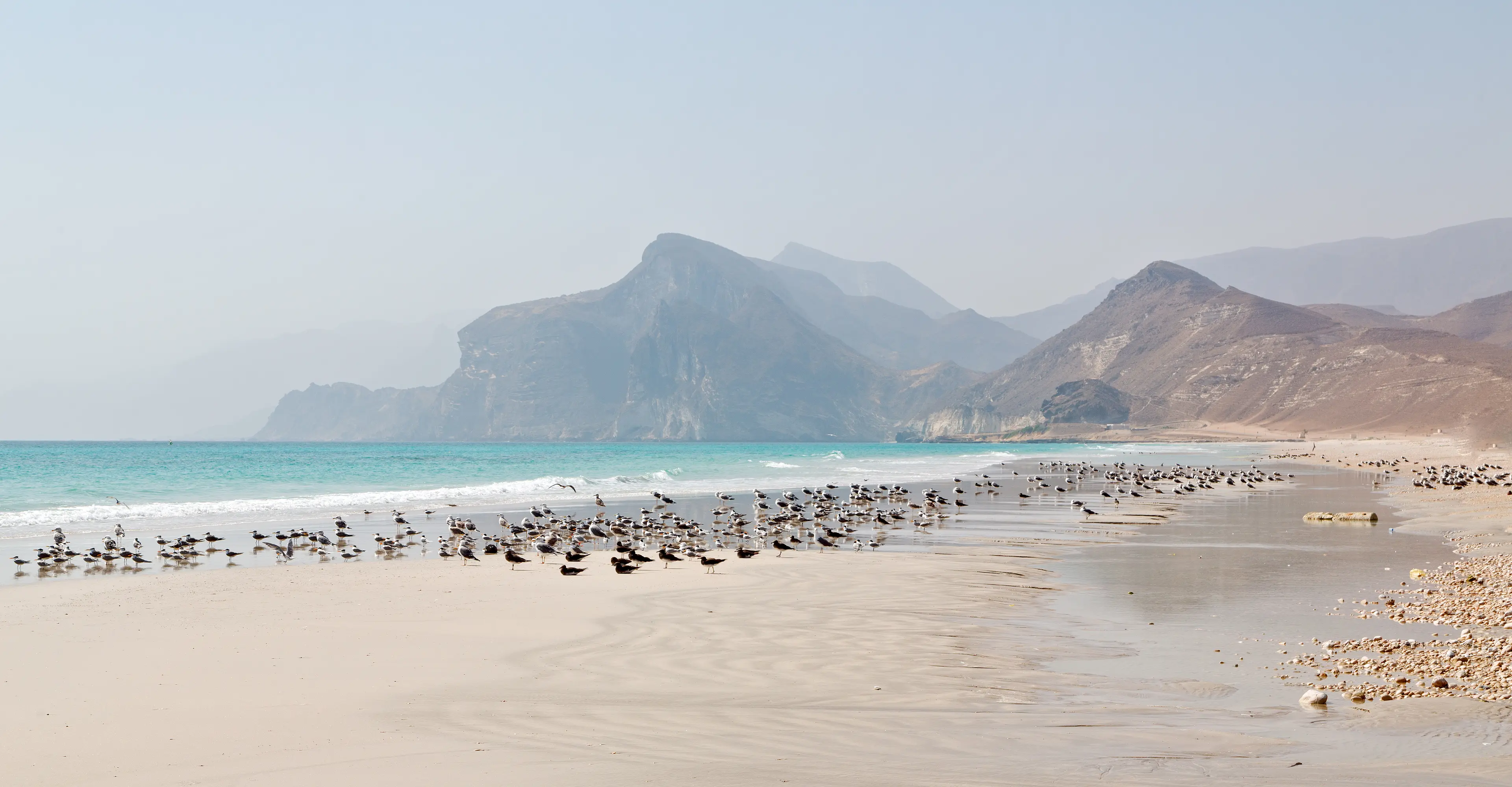 Coastline Coastline