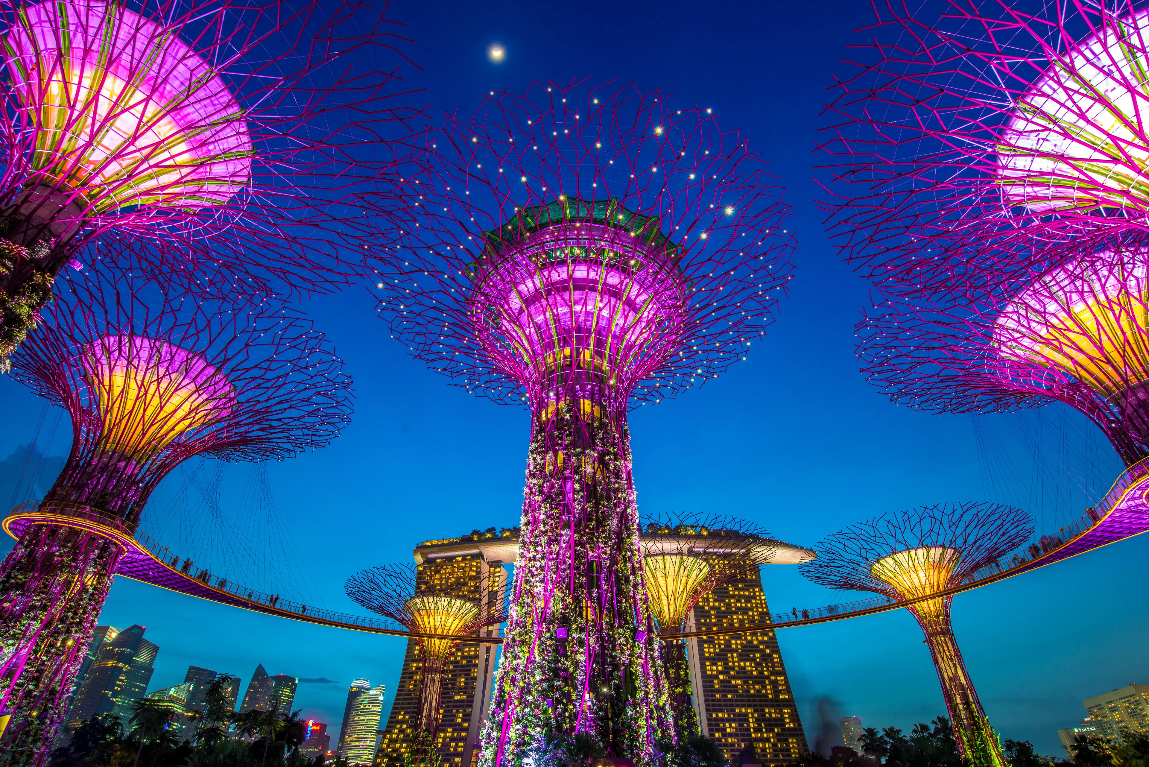 1-Day Local Food, Wine & Nightlife Tour with Friends in Singapore