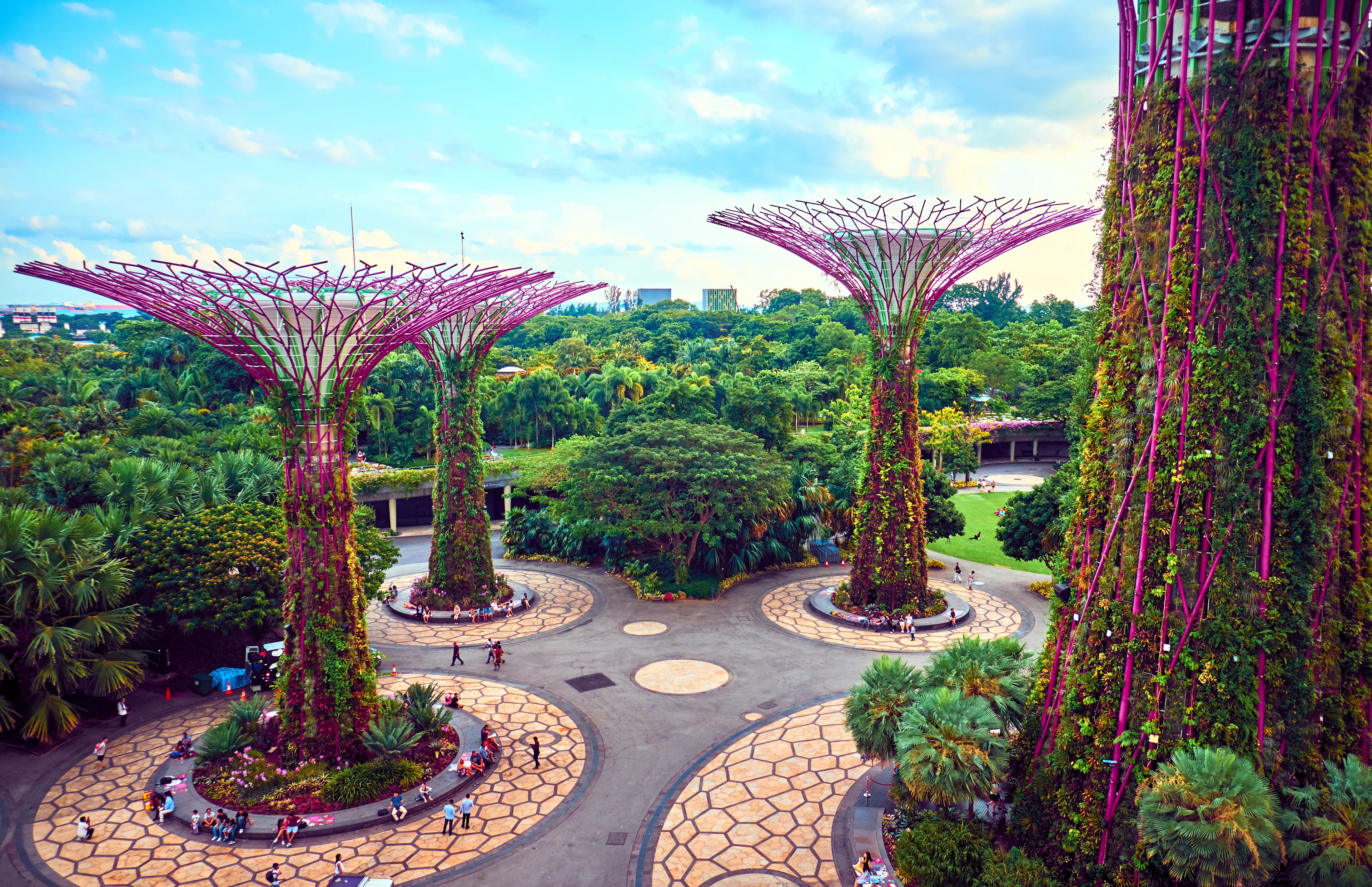 Gardens by the Bay with Supertree