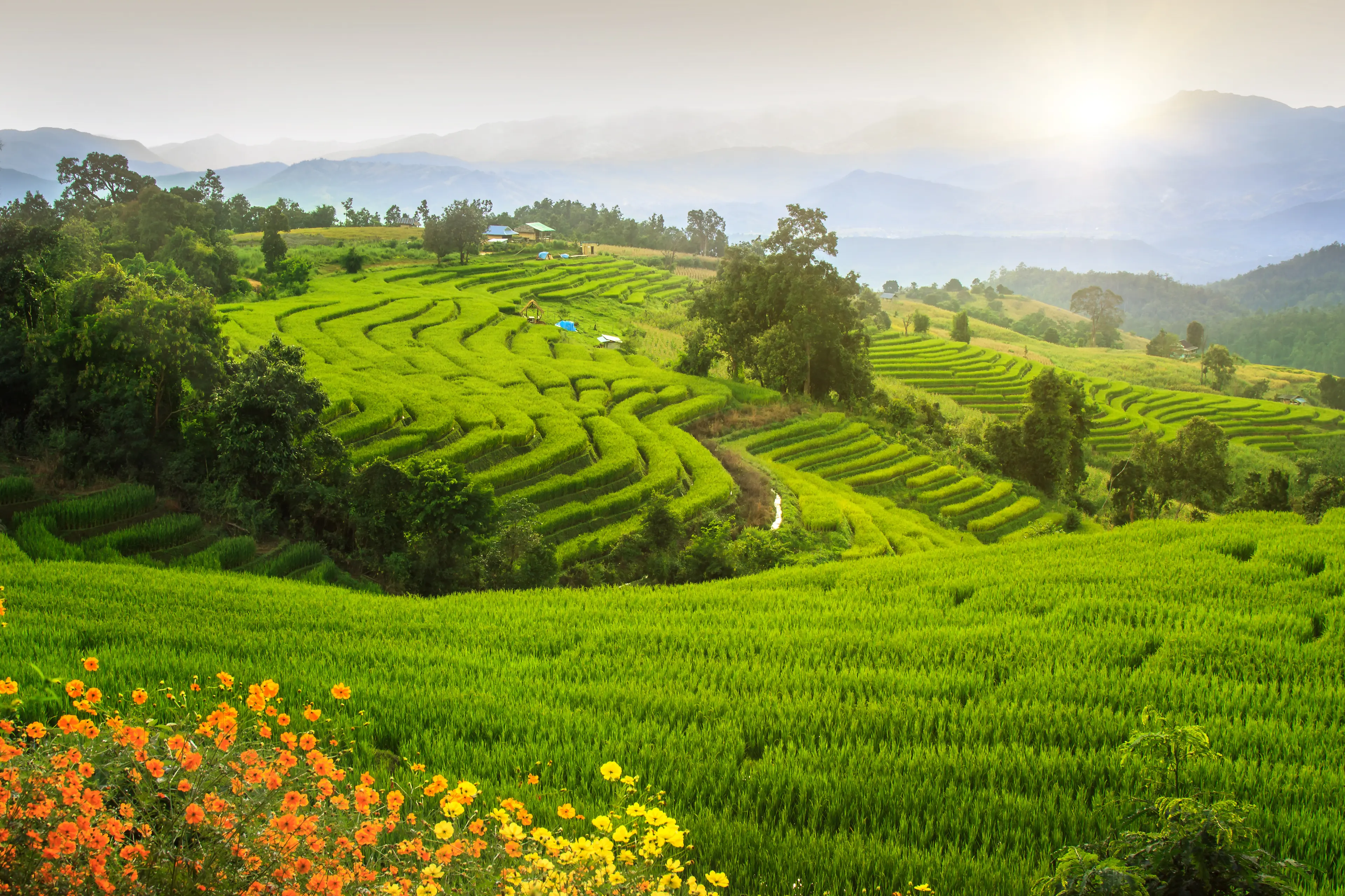 3-Day Ultimate Travel Itinerary for Chiang Mai, Thailand