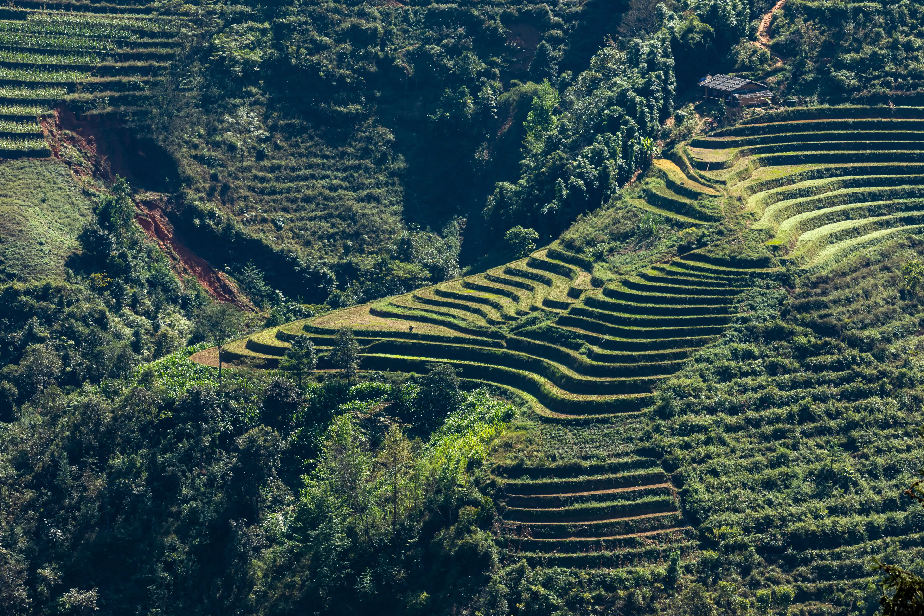 4-Day Family Adventure: Local Experiences & Gastronomy in Ha Giang