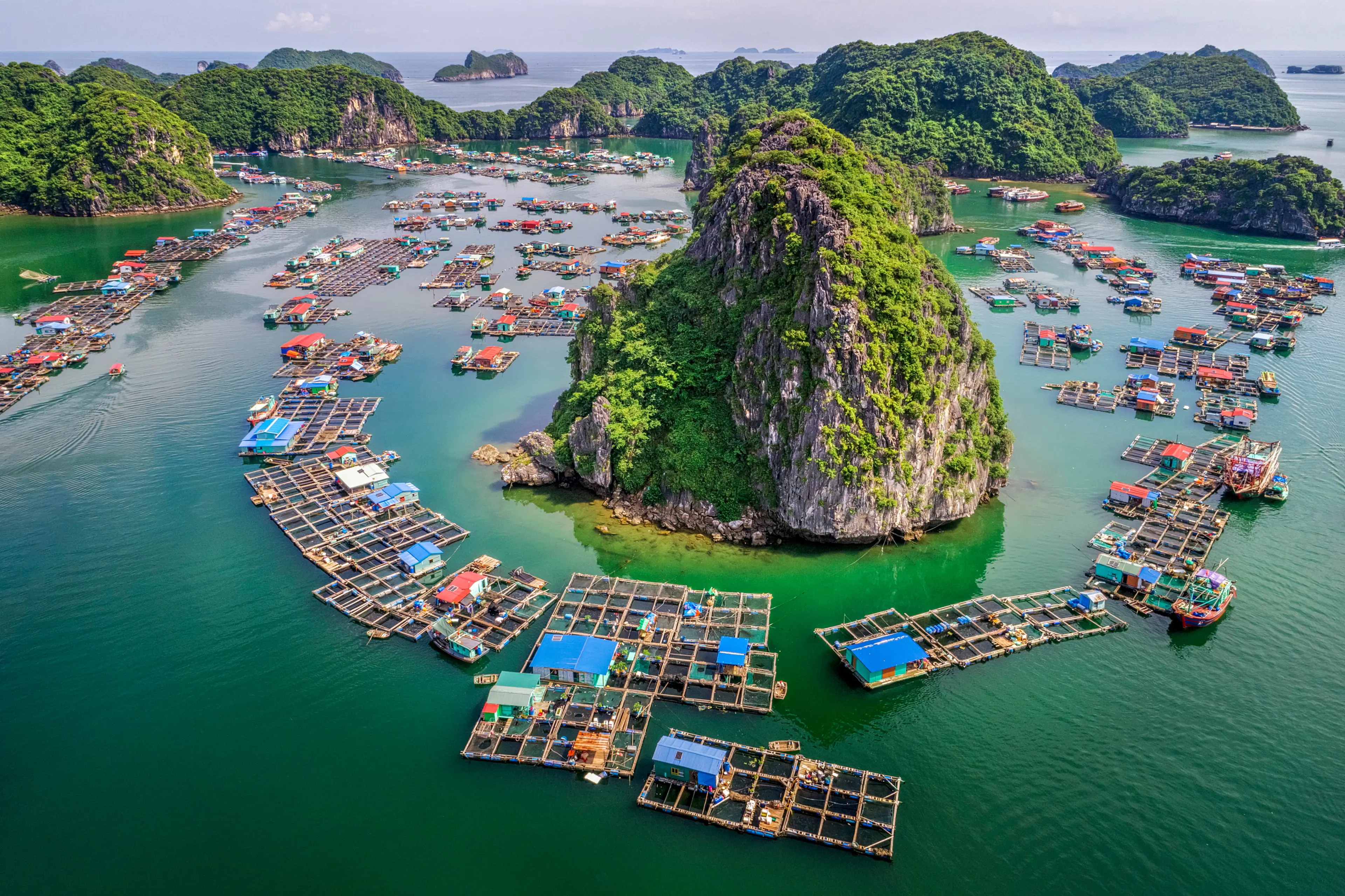 Floating fishing village in Lan Ha bay