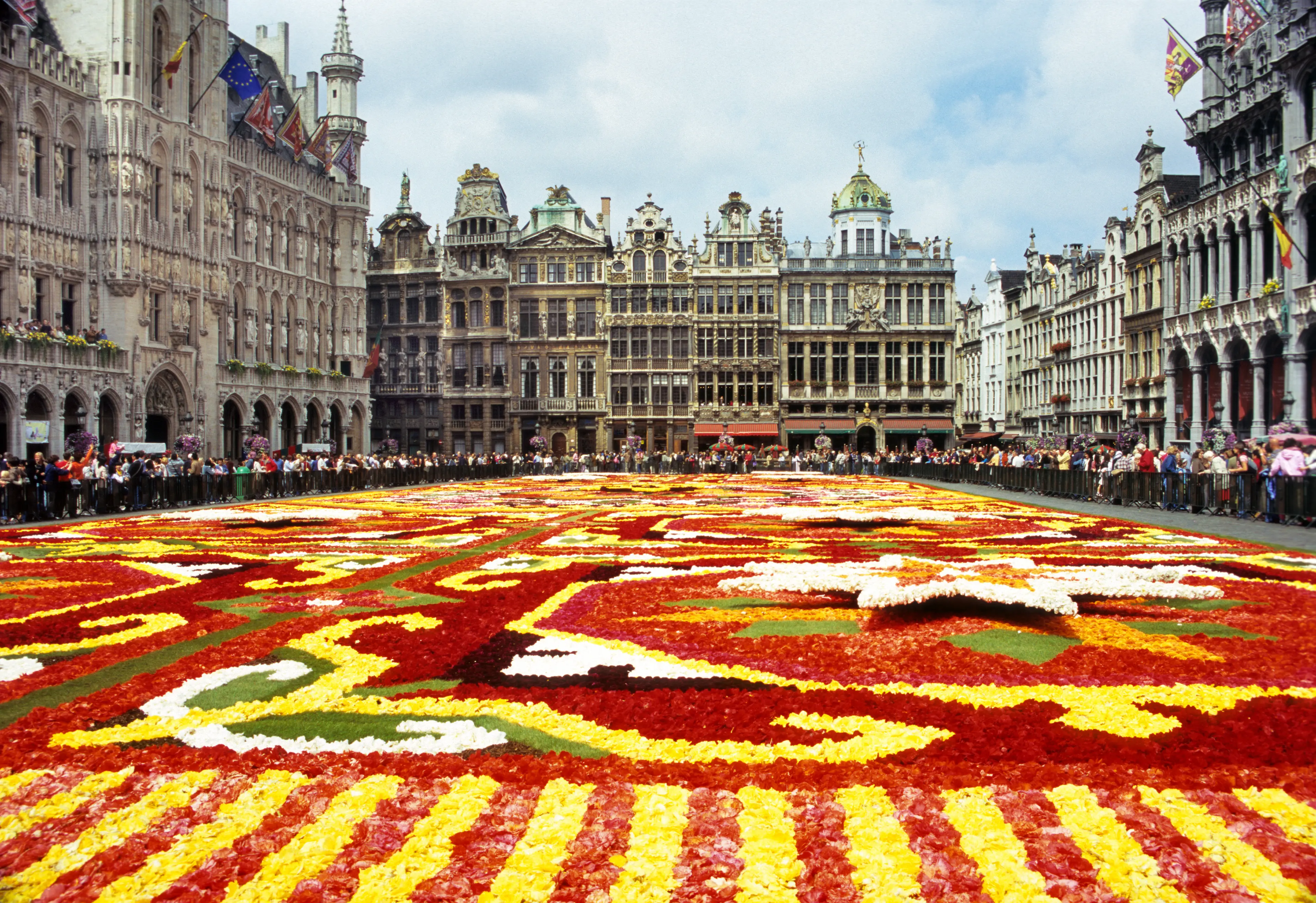 Flower carpet in Grande Place Flower carpet in Grande Place