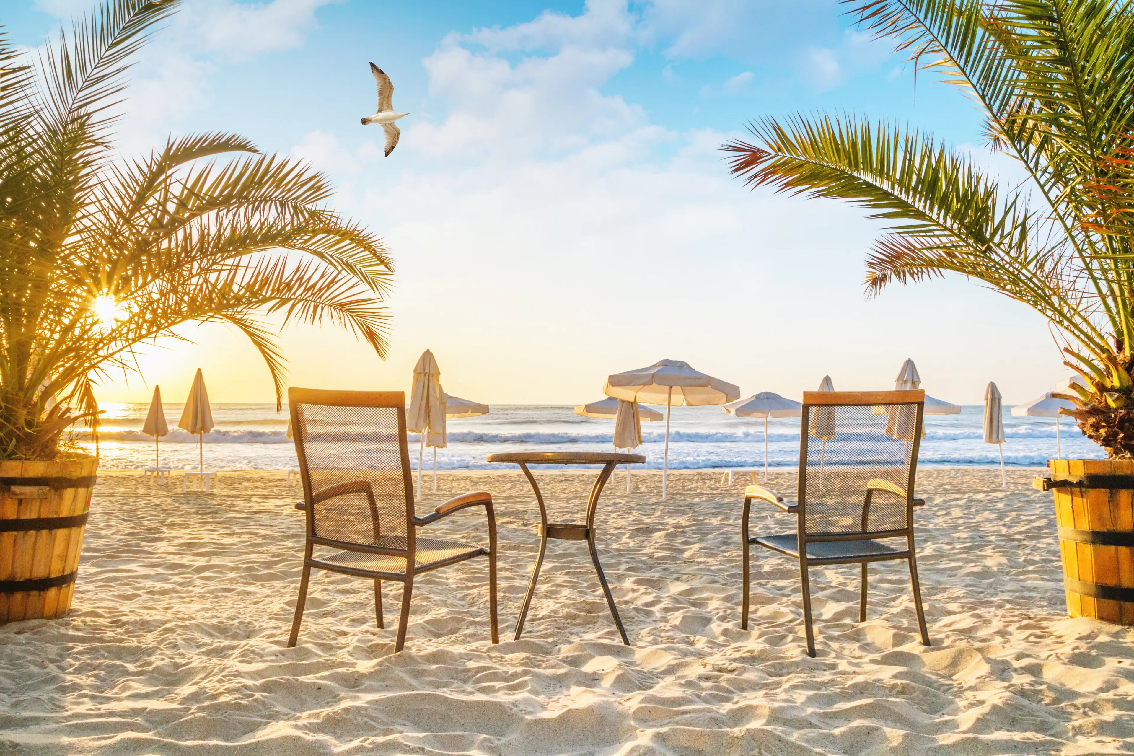 Sandy beachfront with beach furniture Sandy beachfront with beach furniture