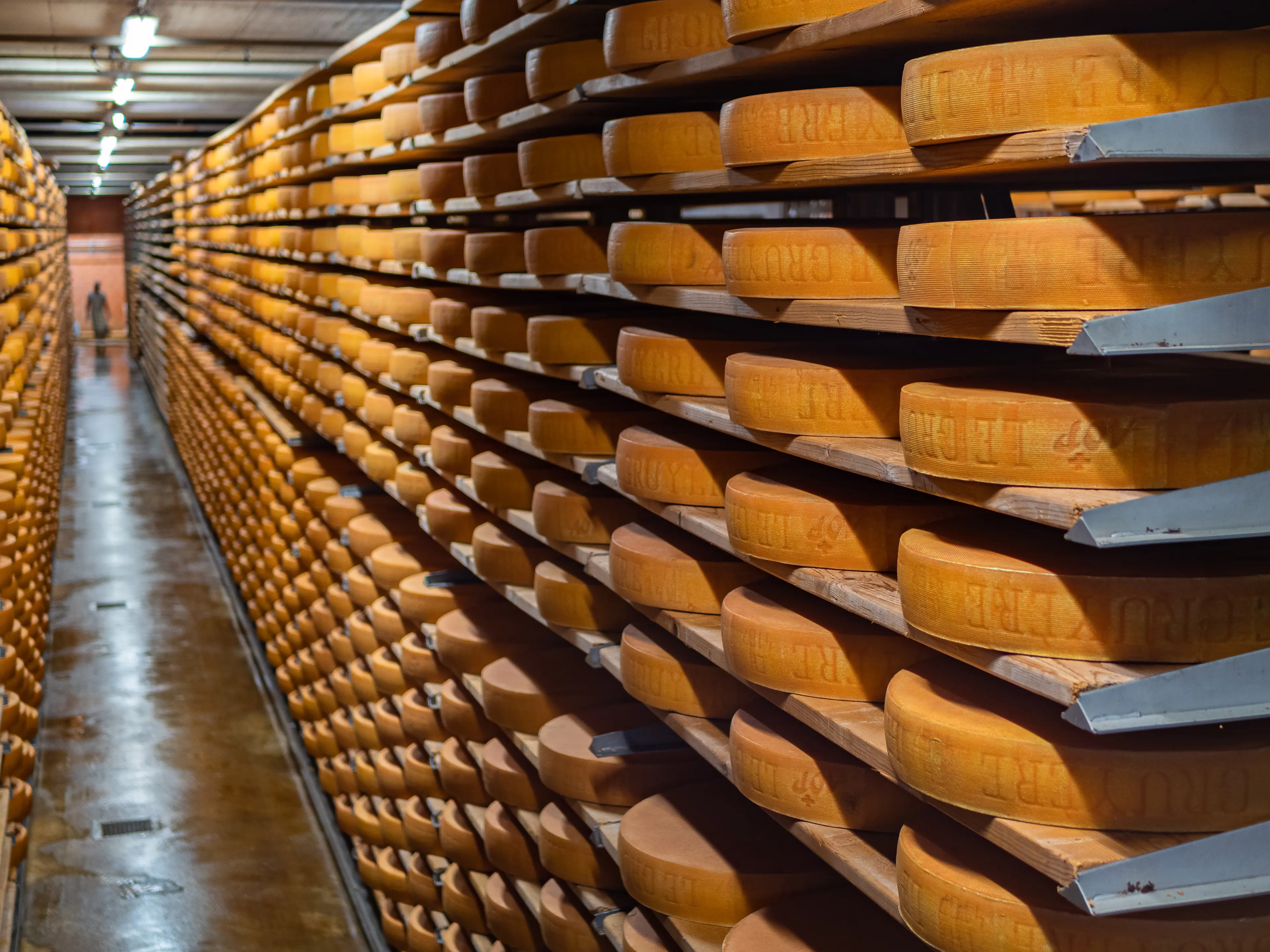 Aging cheese wheels in a cellar of the Maison du Gruyere factory Aging cheese wheels in a cellar of the Maison du Gruyere factory