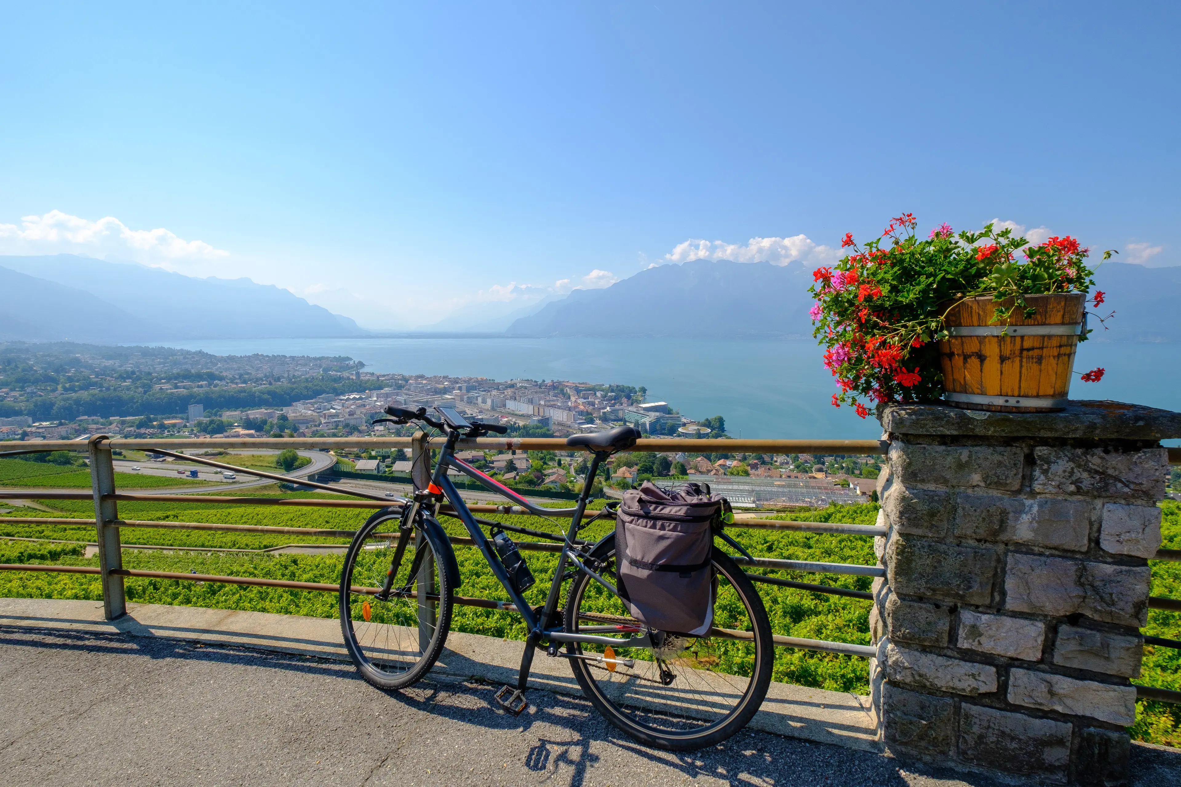 View to vineyards at Geneva lake