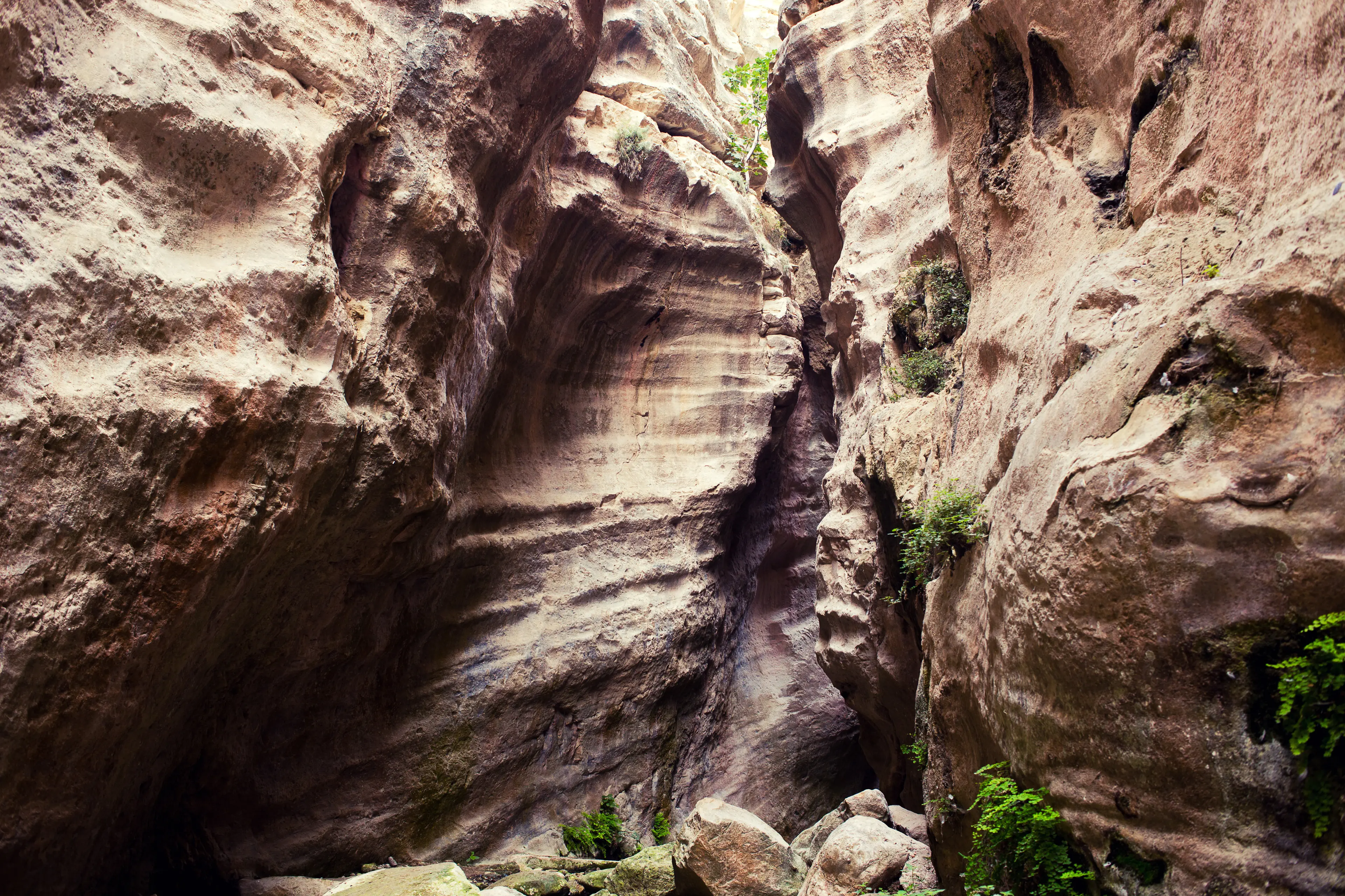 Avakas Canyon Avakas Canyon