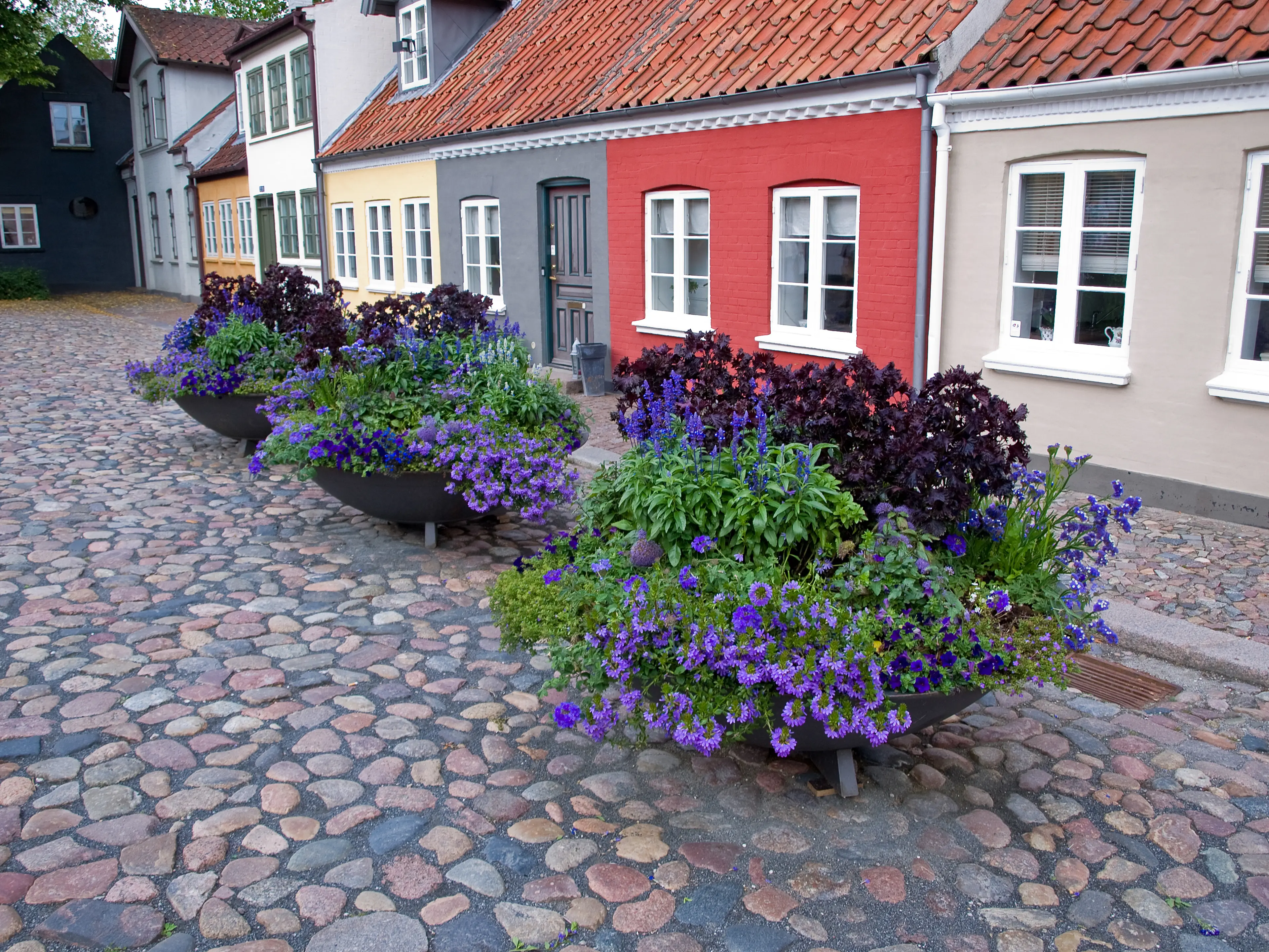 Old street with flower pots