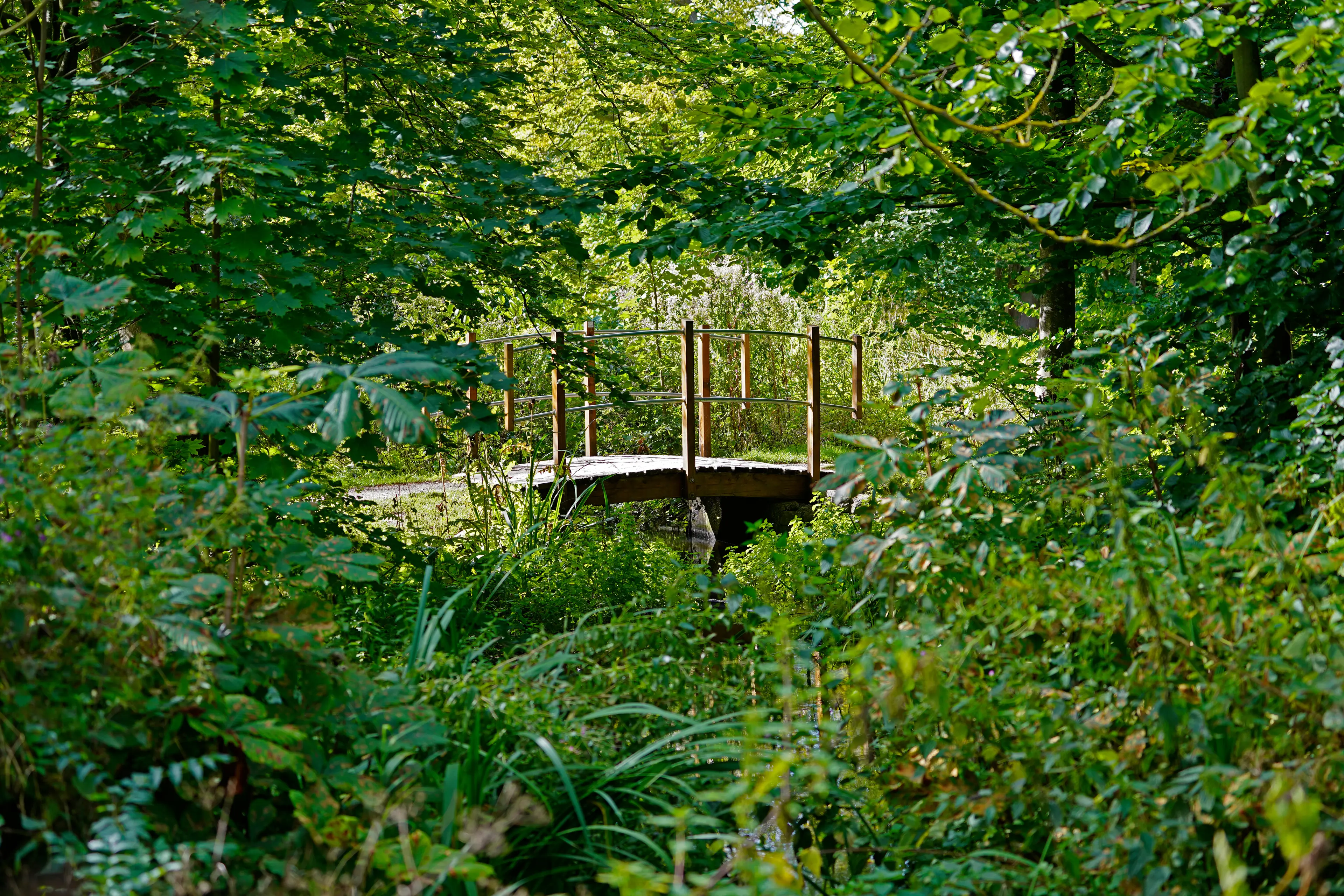 Bridge in the park Bridge in the park