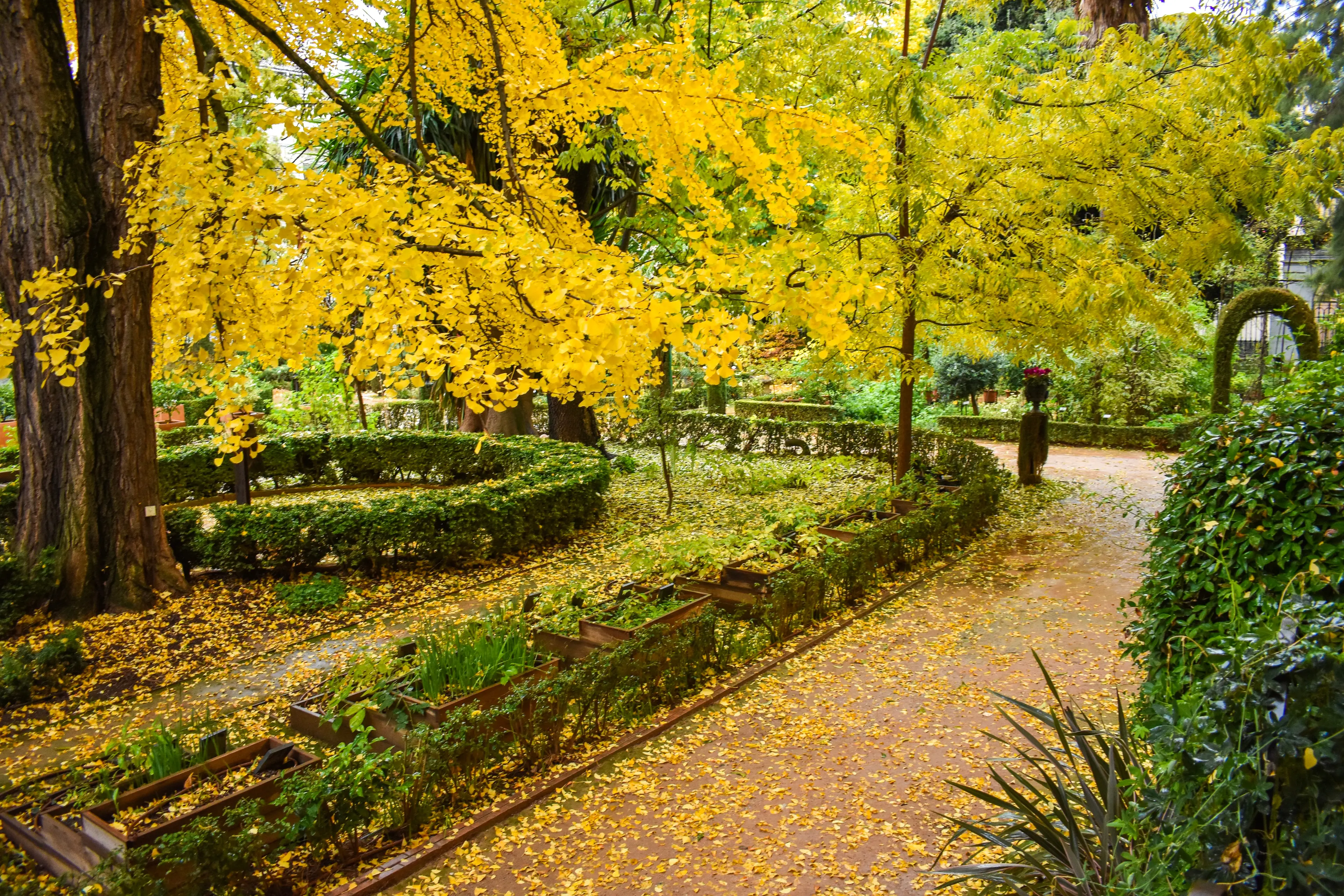 Garden Garden