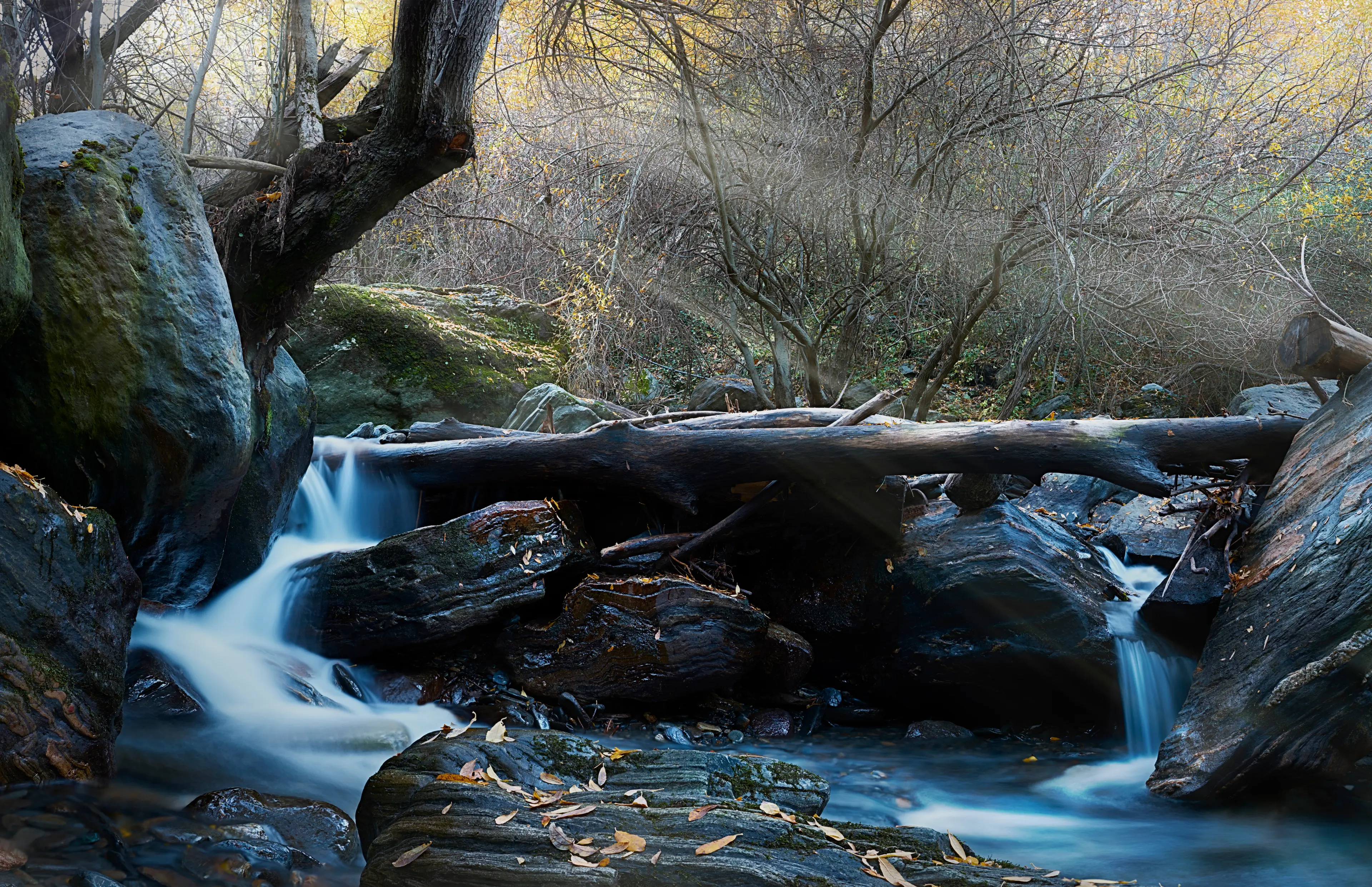 Natural landscape of a river Natural landscape of a river