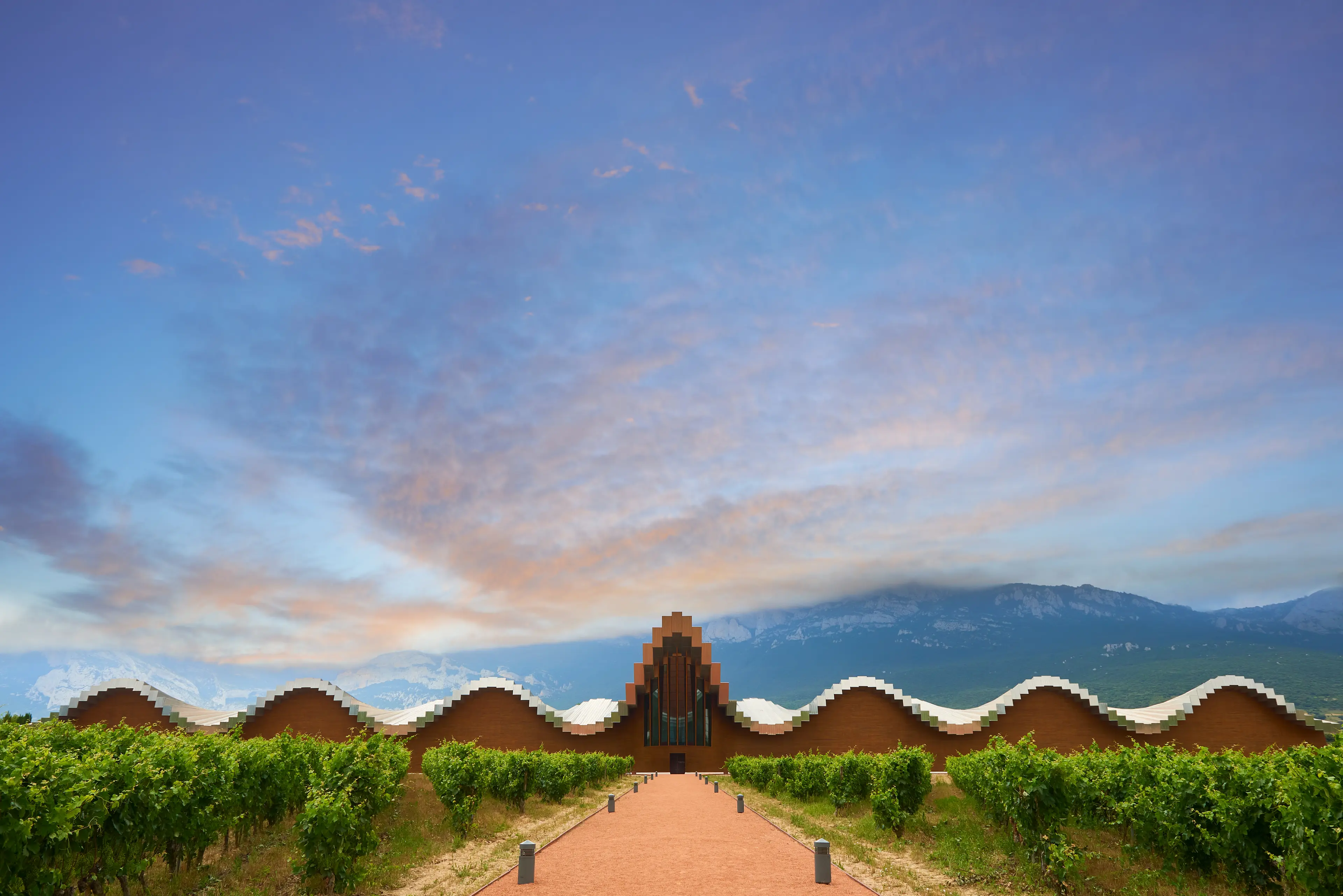 1-Day Family Adventure and Sightseeing Escape in Rioja, Spain