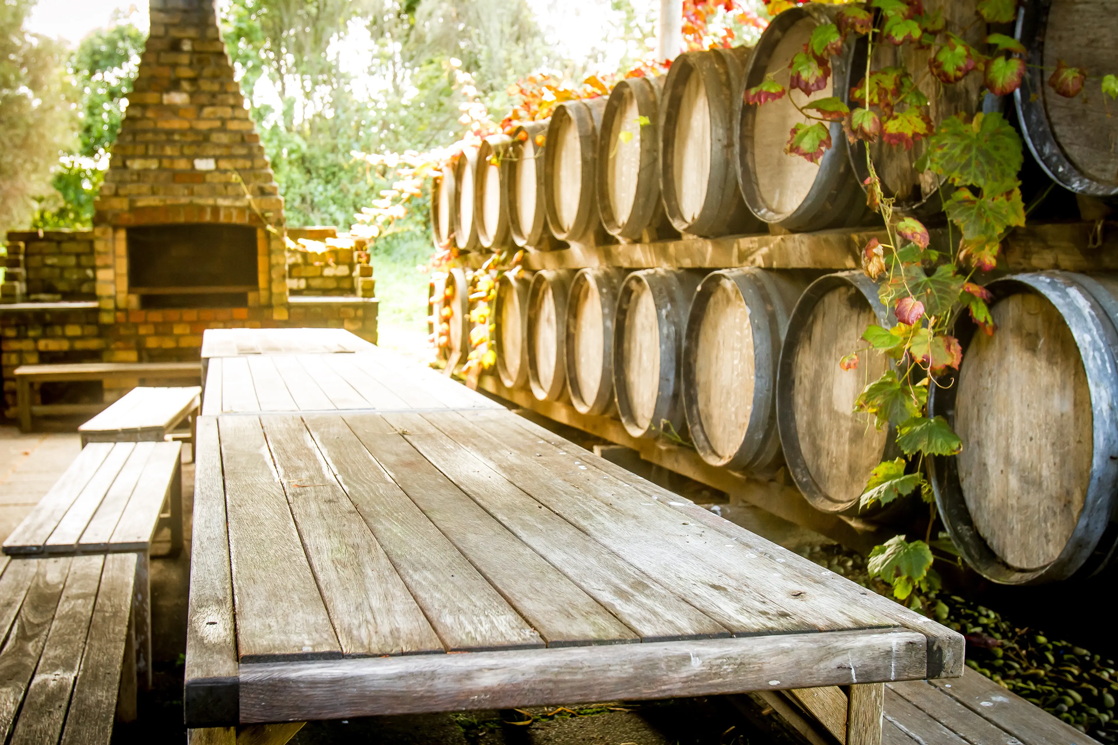 Wine wooden barrels at winery