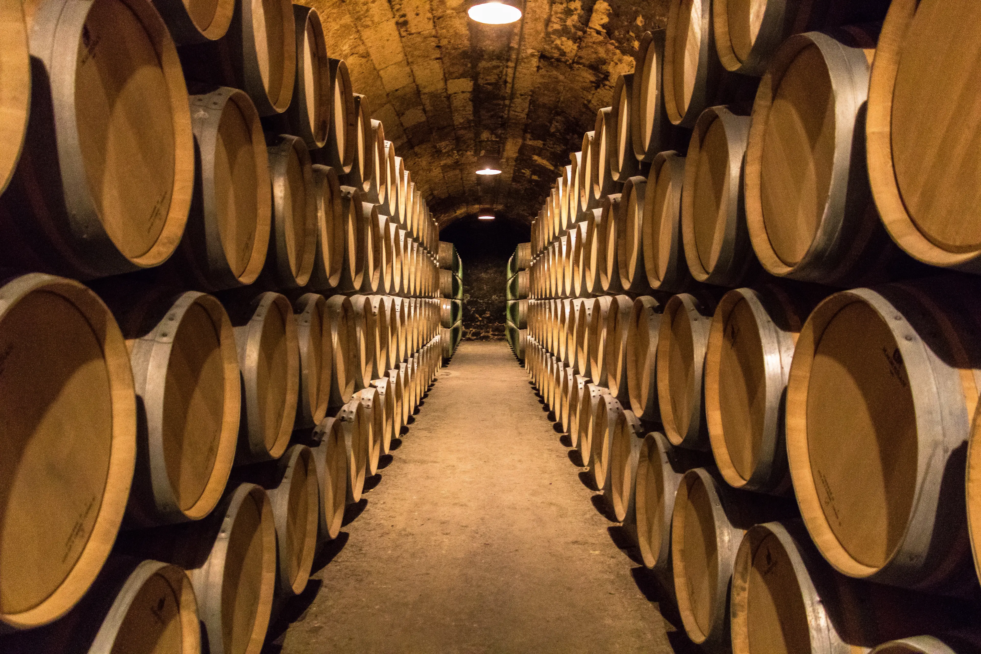Wine cellar Wine cellar