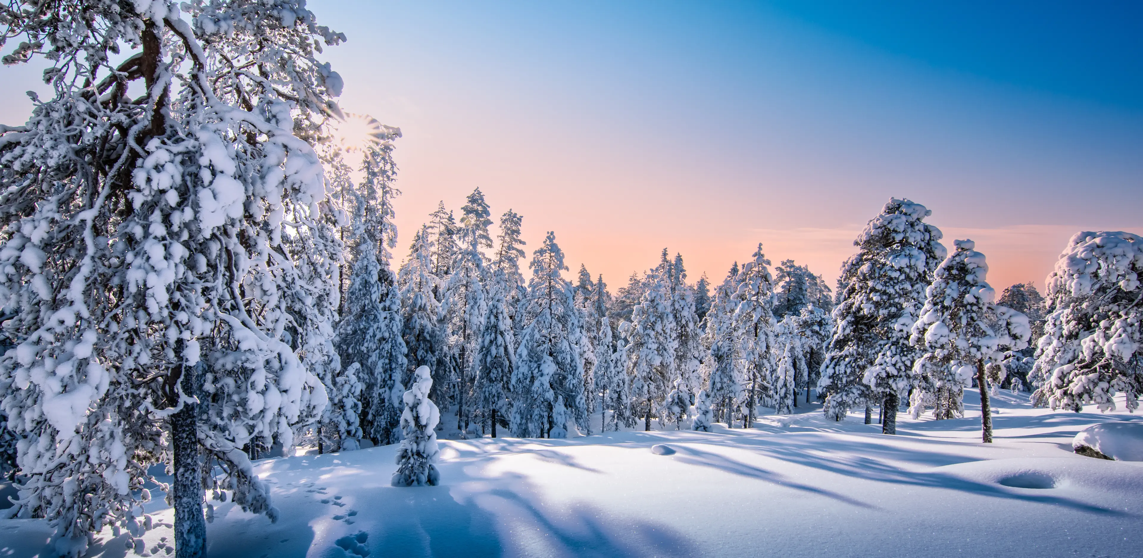 Winter snow landscape