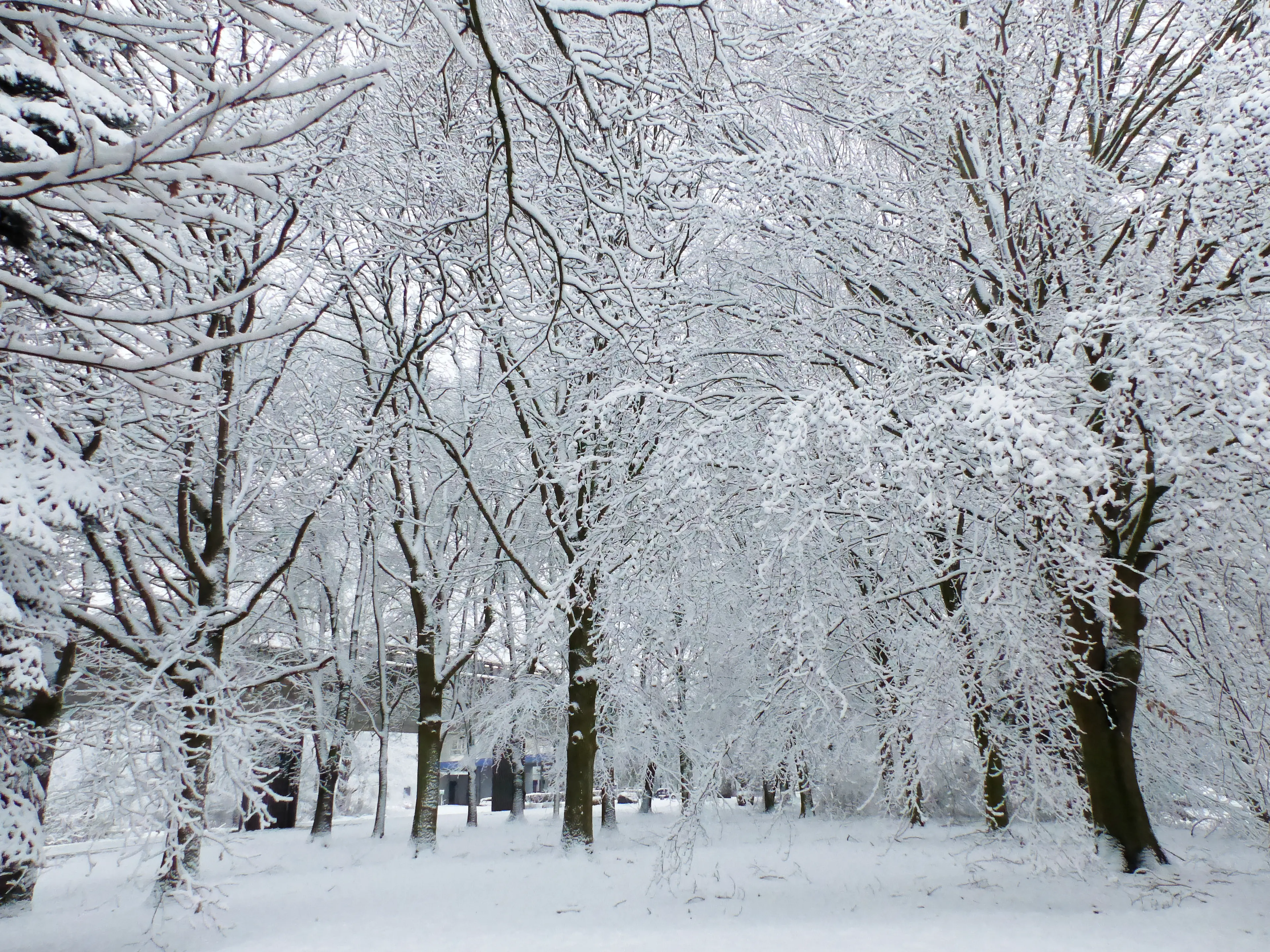 Lille under the snow Lille under the snow