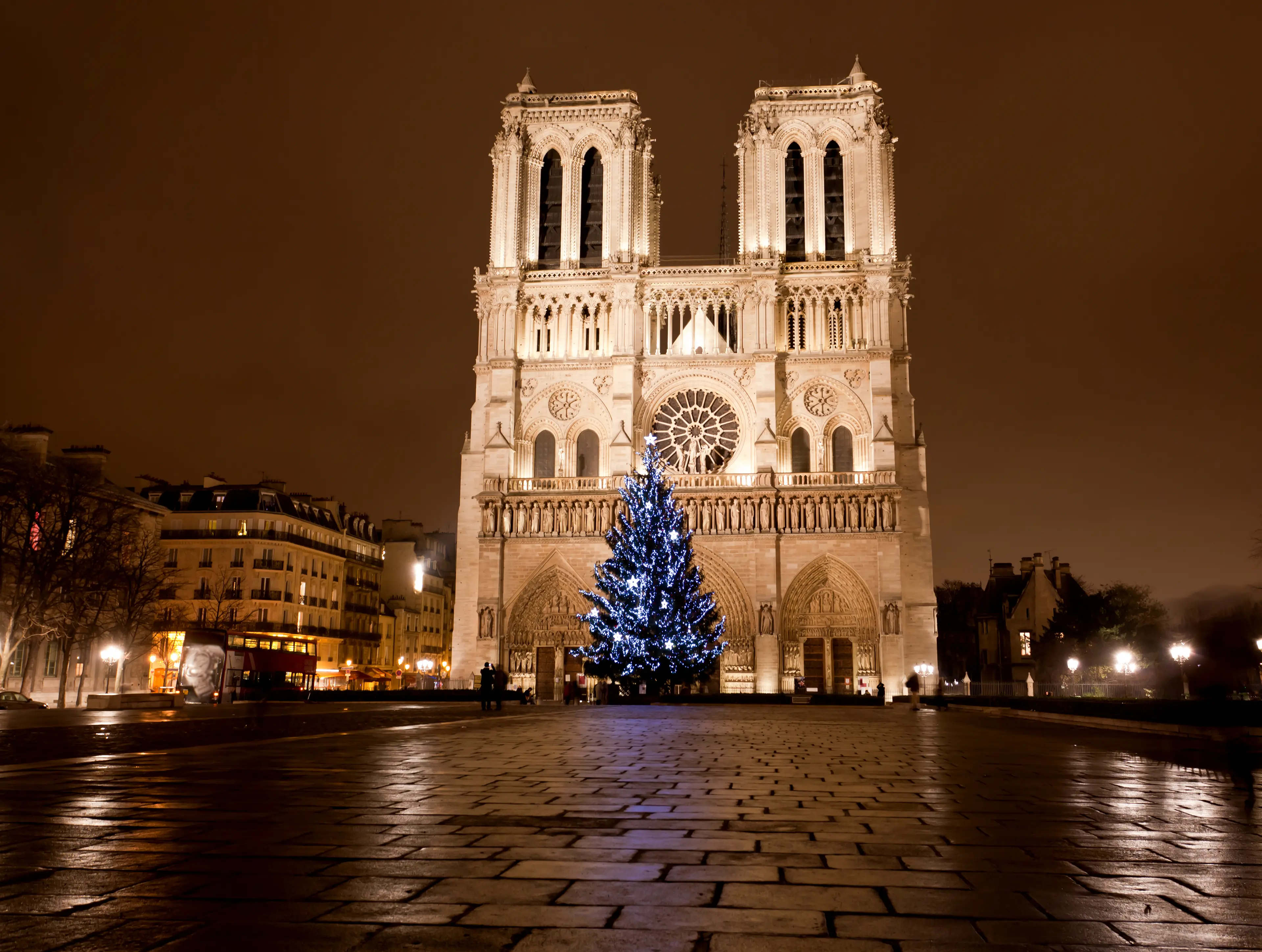 The famous Notre Dame at night