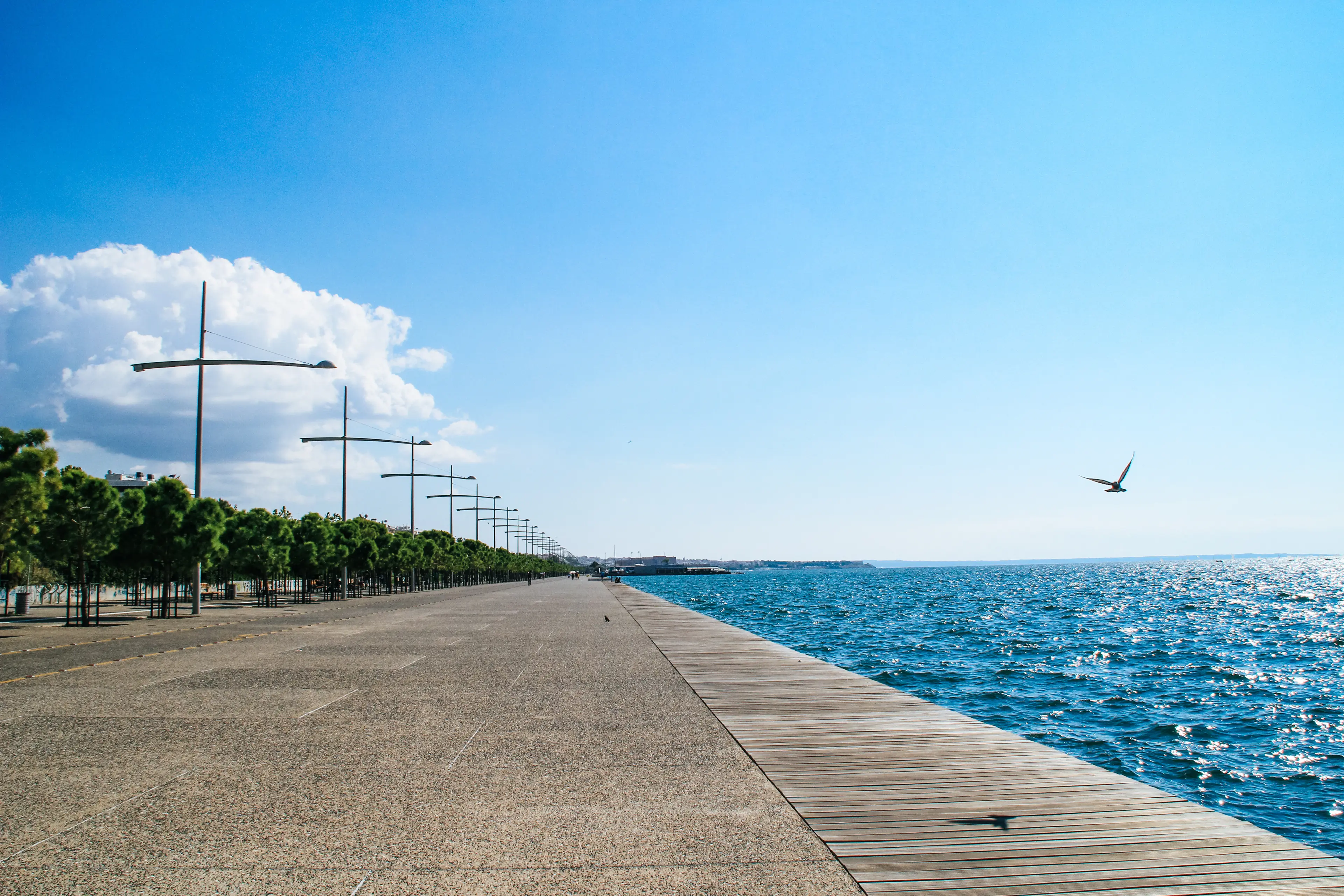 The seafront of the city