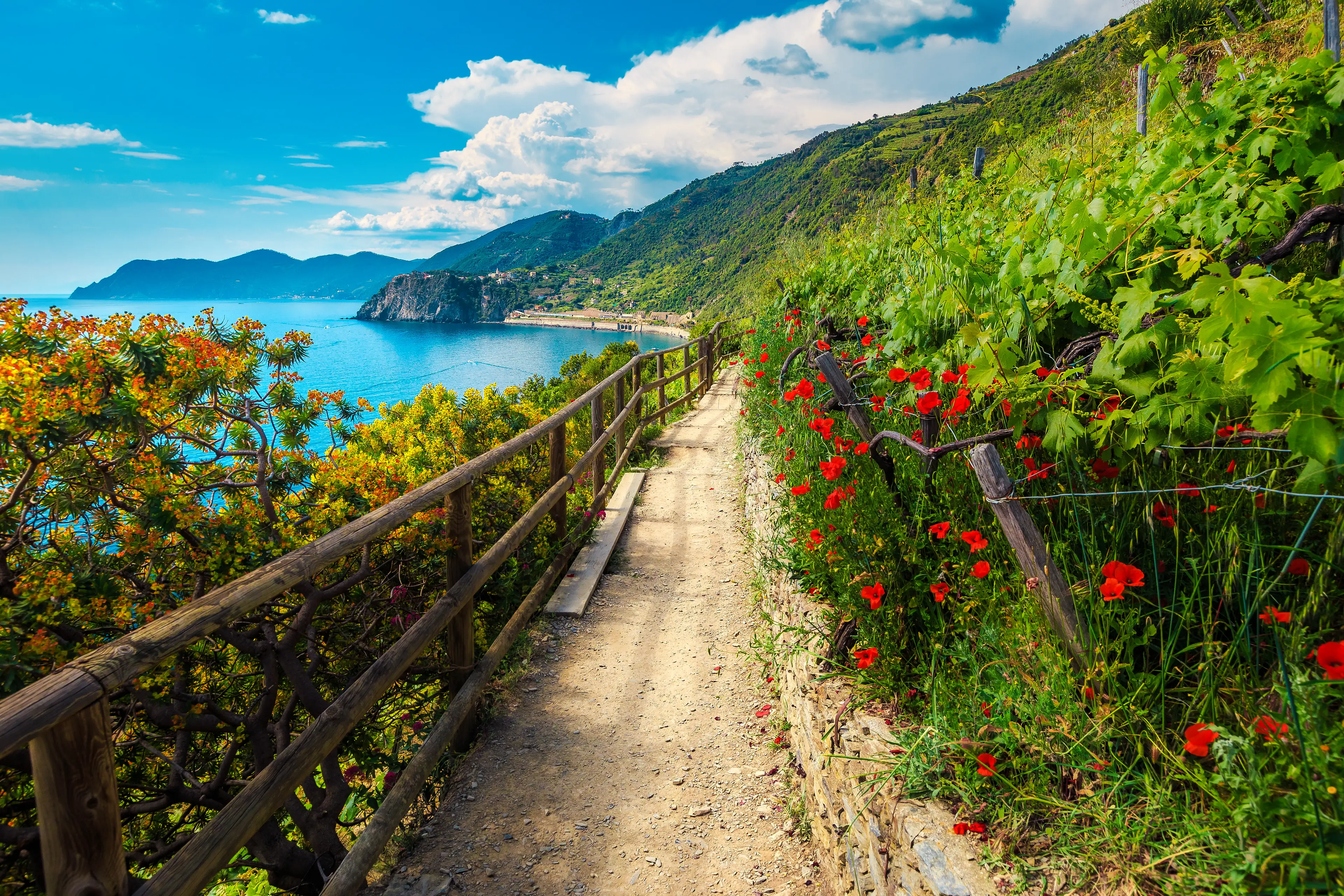 1-Day Solo Relaxation and Sightseeing in Cinque Terre, Italy
