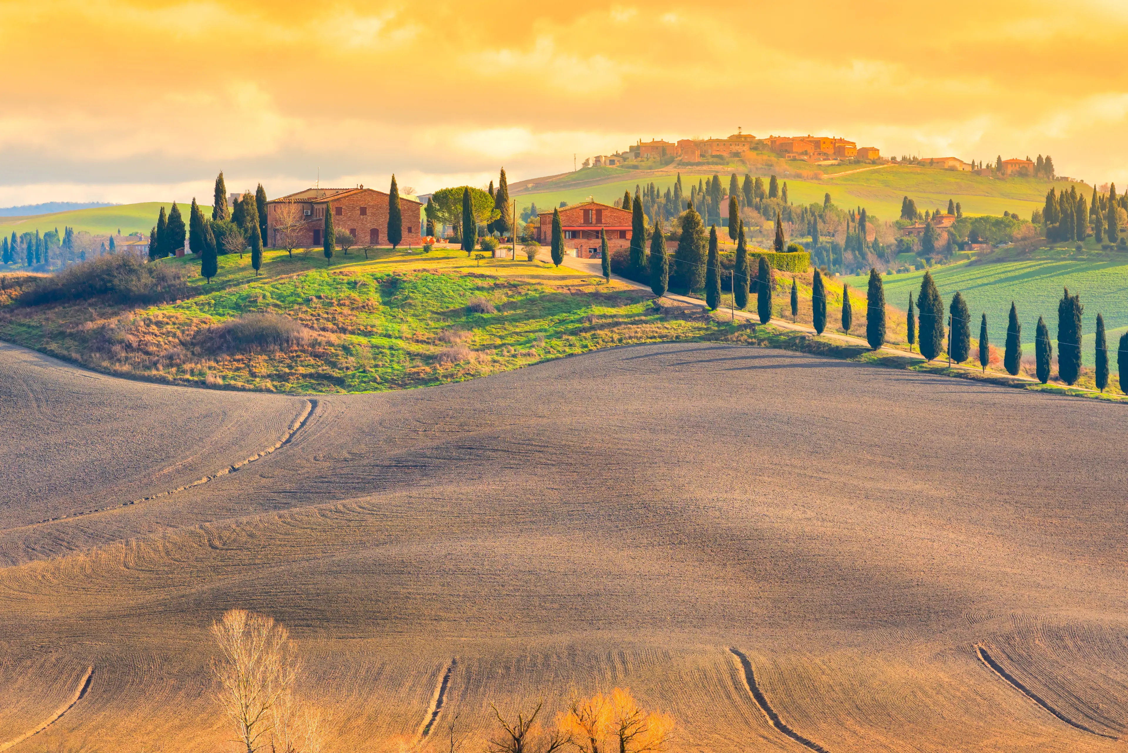 Farmhouse and fields in the Crete Senesi area Farmhouse and fields in the Crete Senesi area