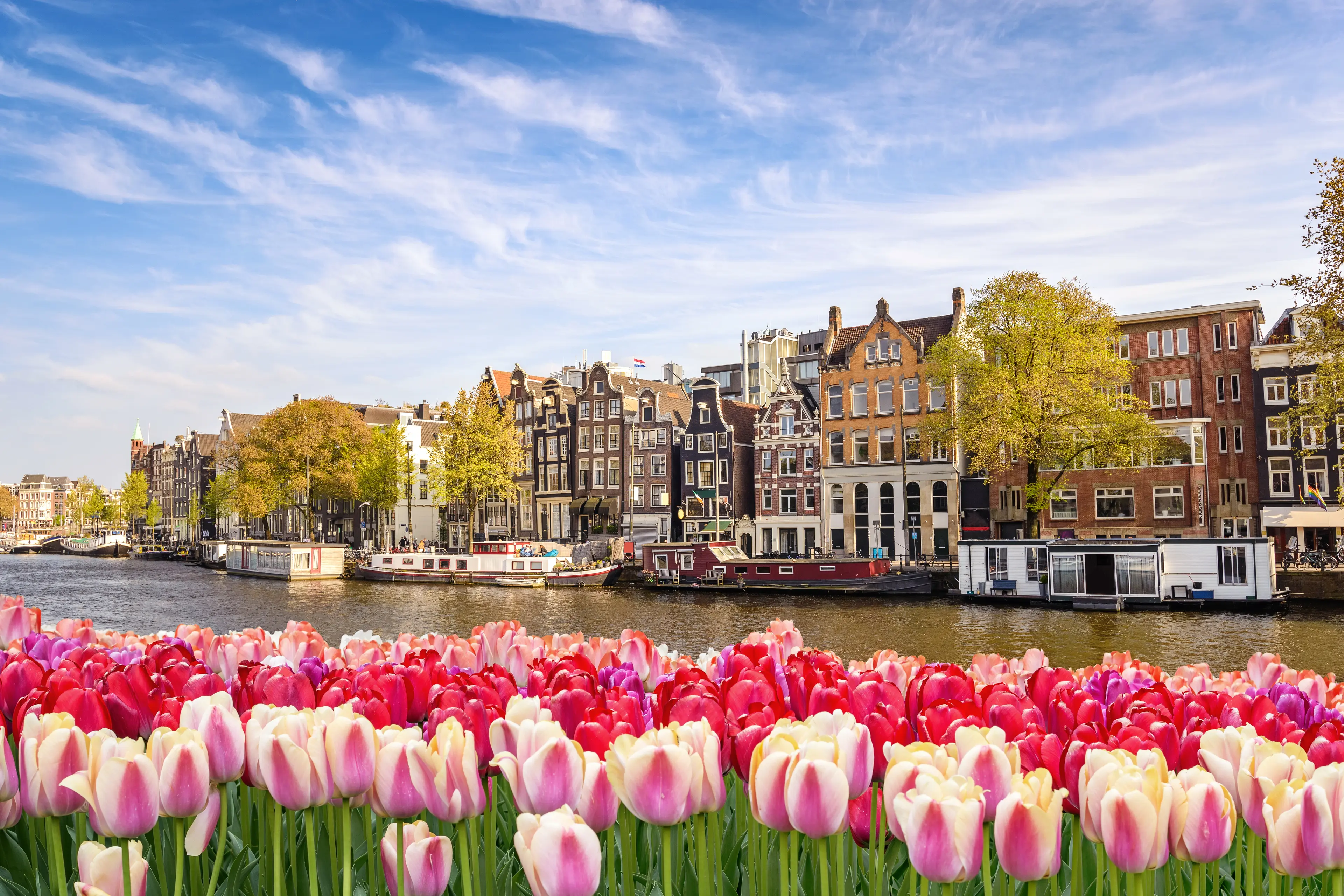 3-Day Amsterdam Adventure: Nightlife, Sightseeing with Friends