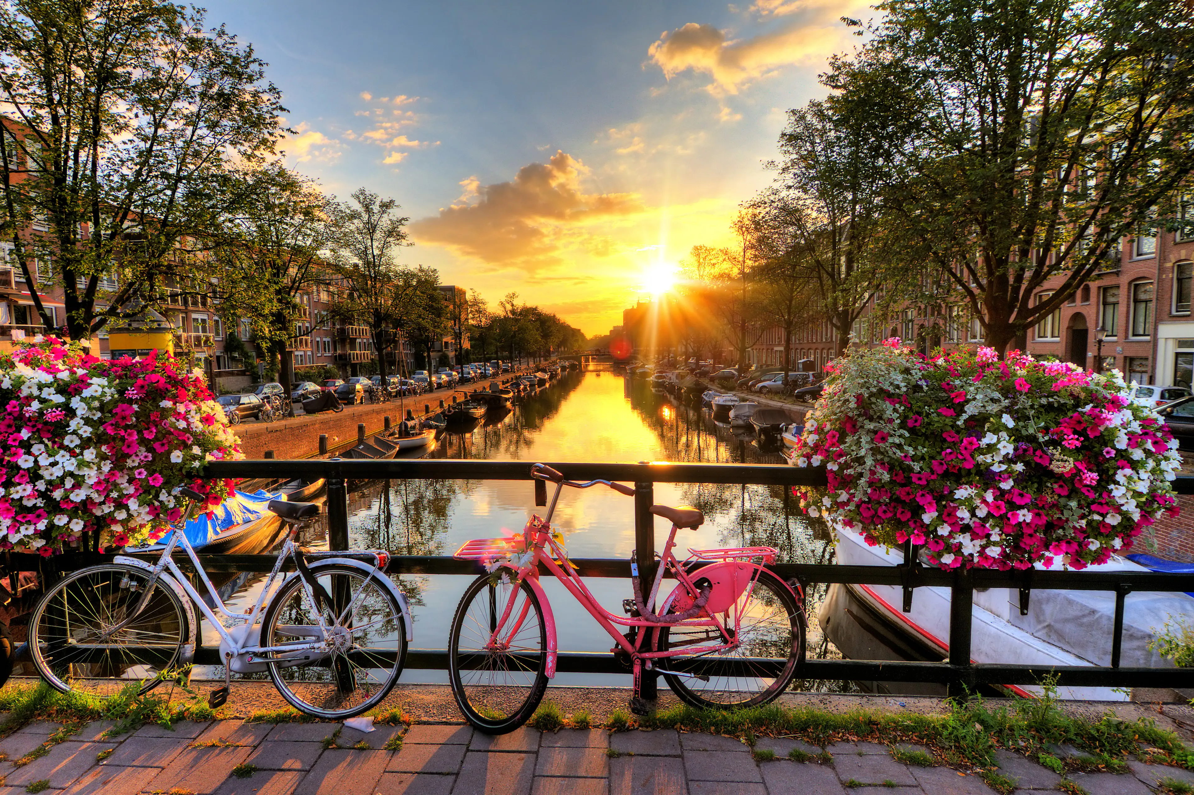 1-Day Offbeat Outdoor Relaxation Itinerary in Amsterdam