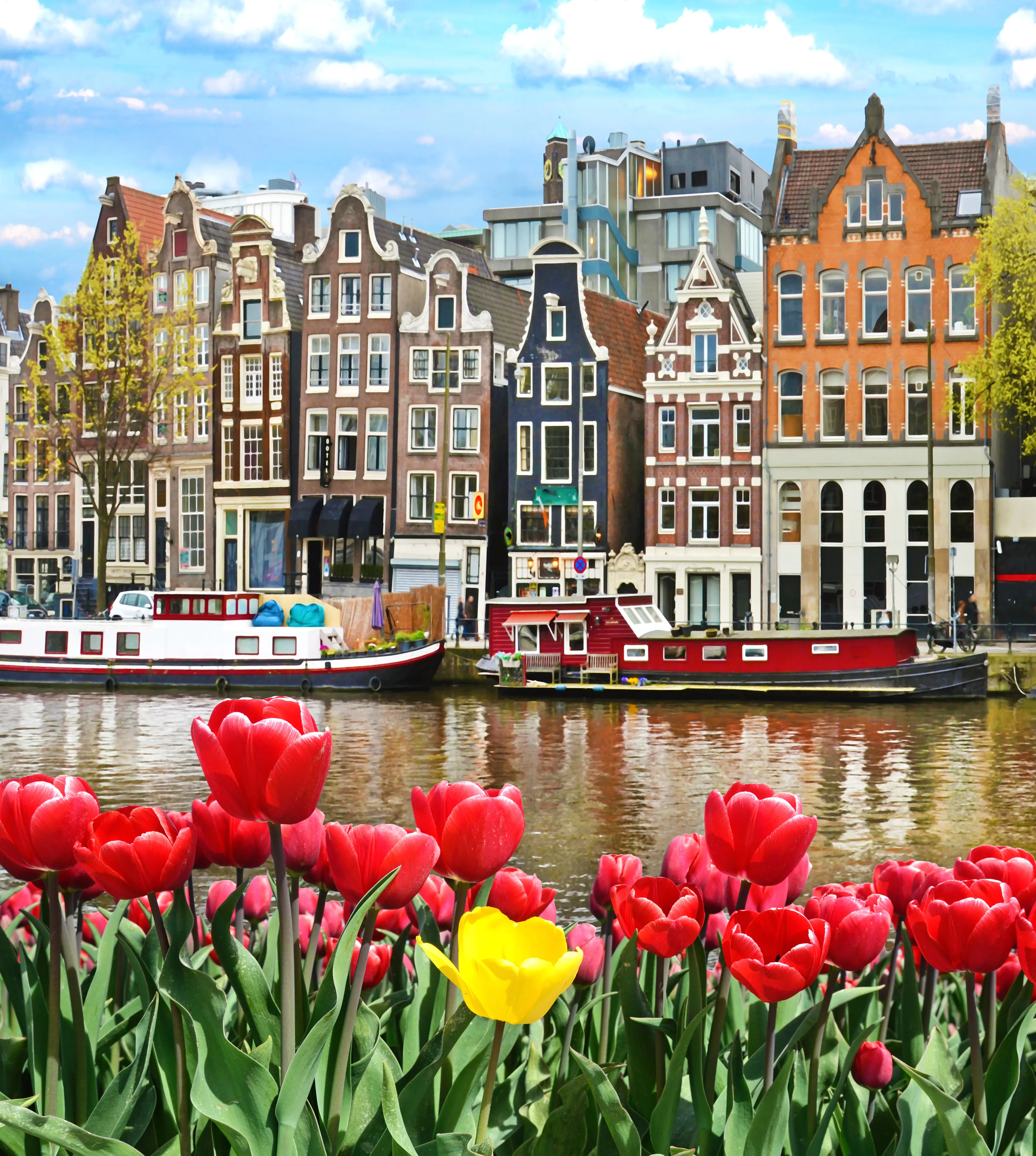 Solo 1-Day Amsterdam Adventure: Sightseeing & Nightlife