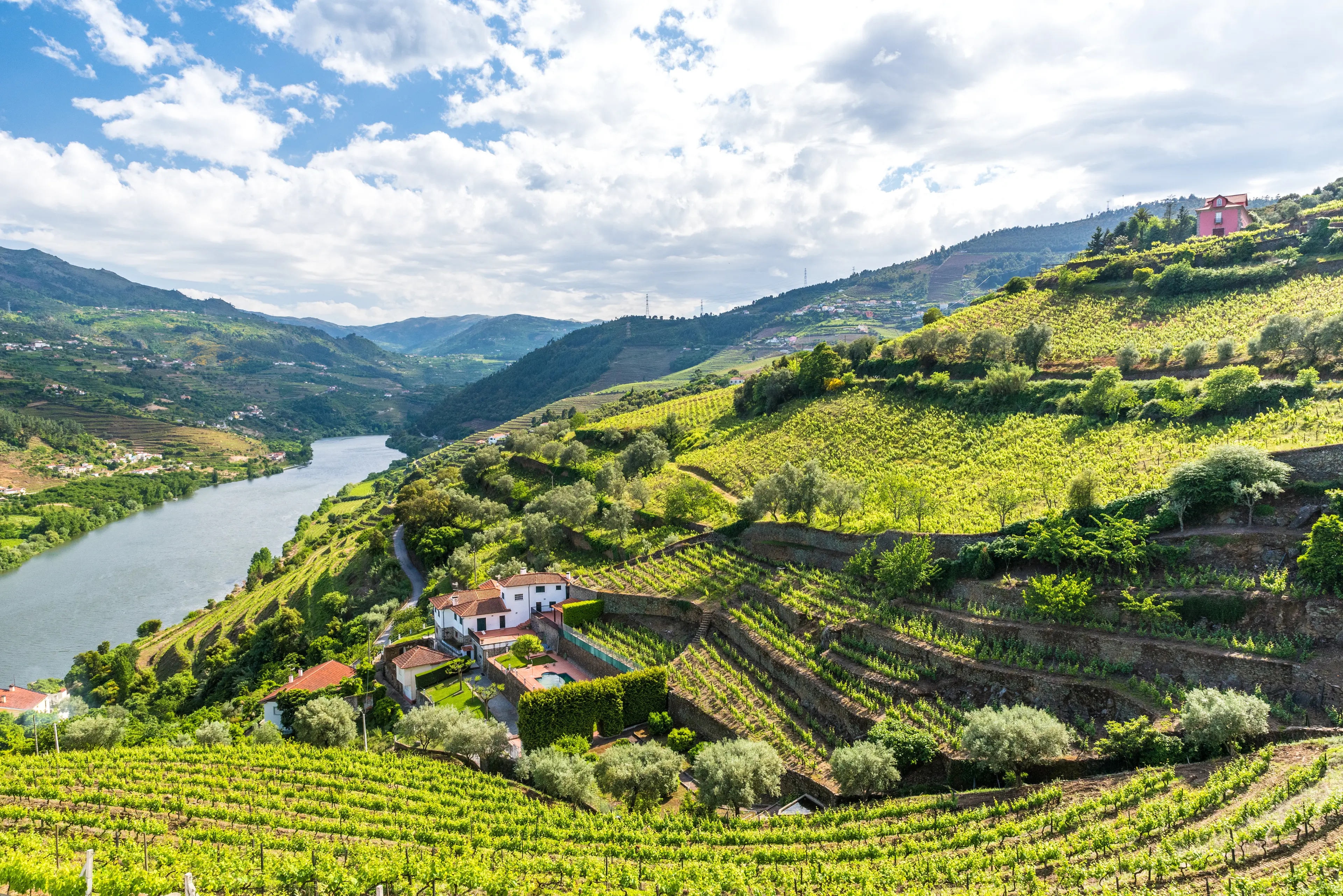 The Douro river The Douro river