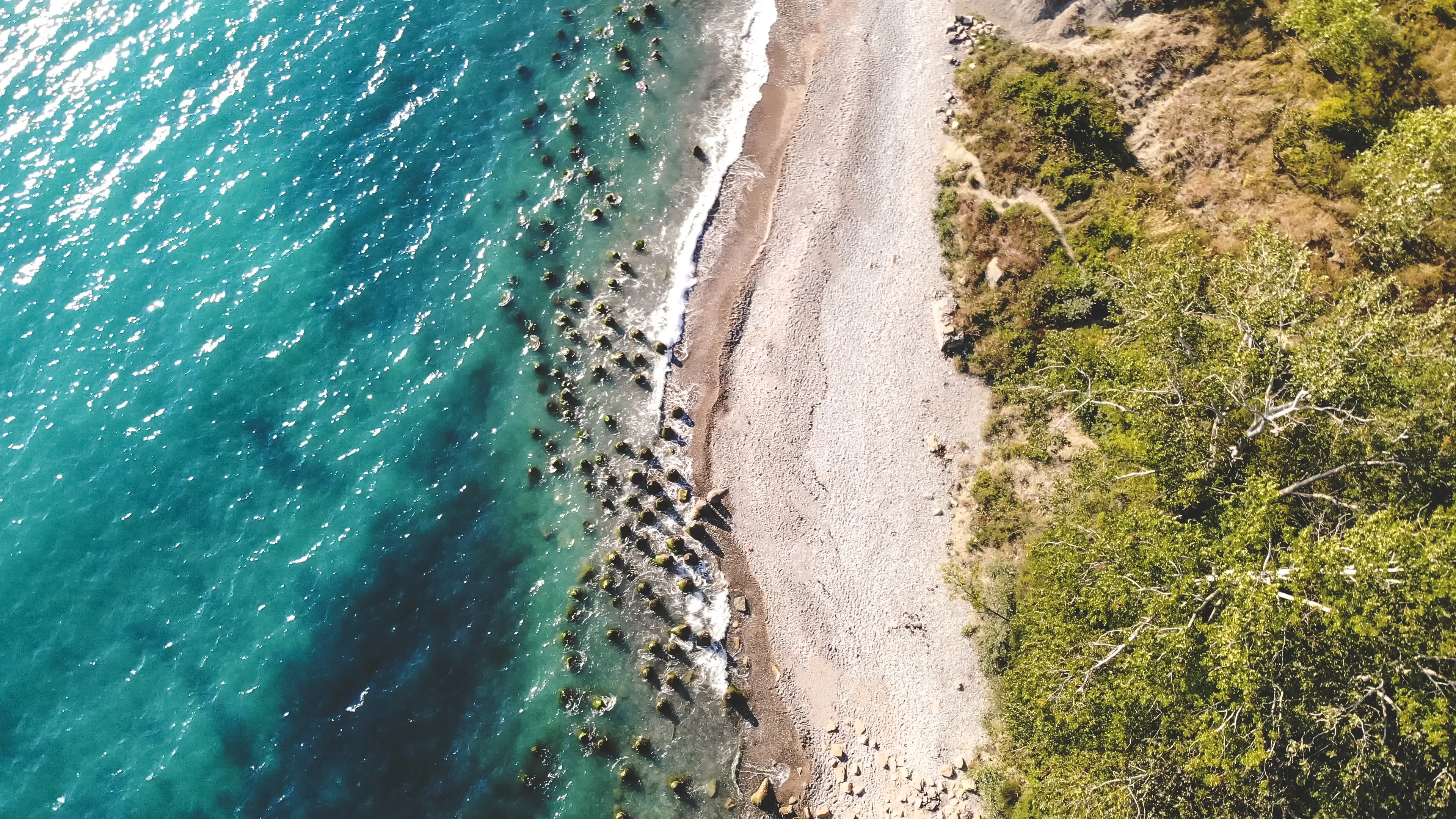 Black Sea coast