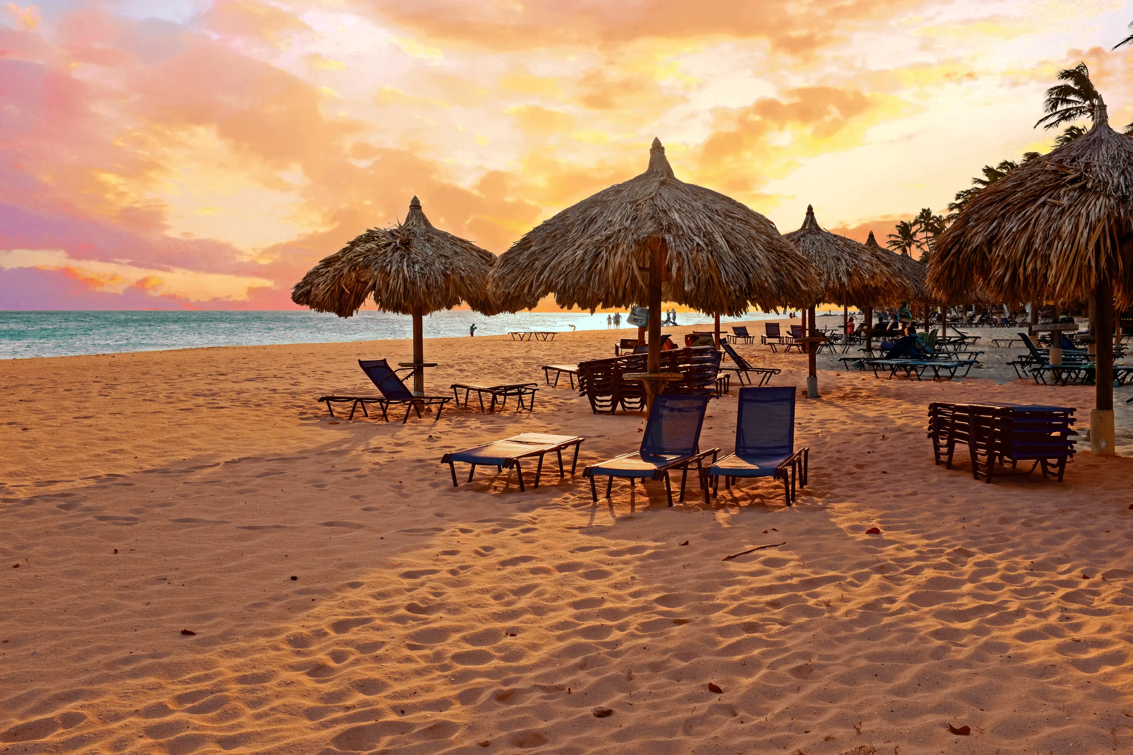 Aruba Sightseeing: A One-day Local Experience Itinerary