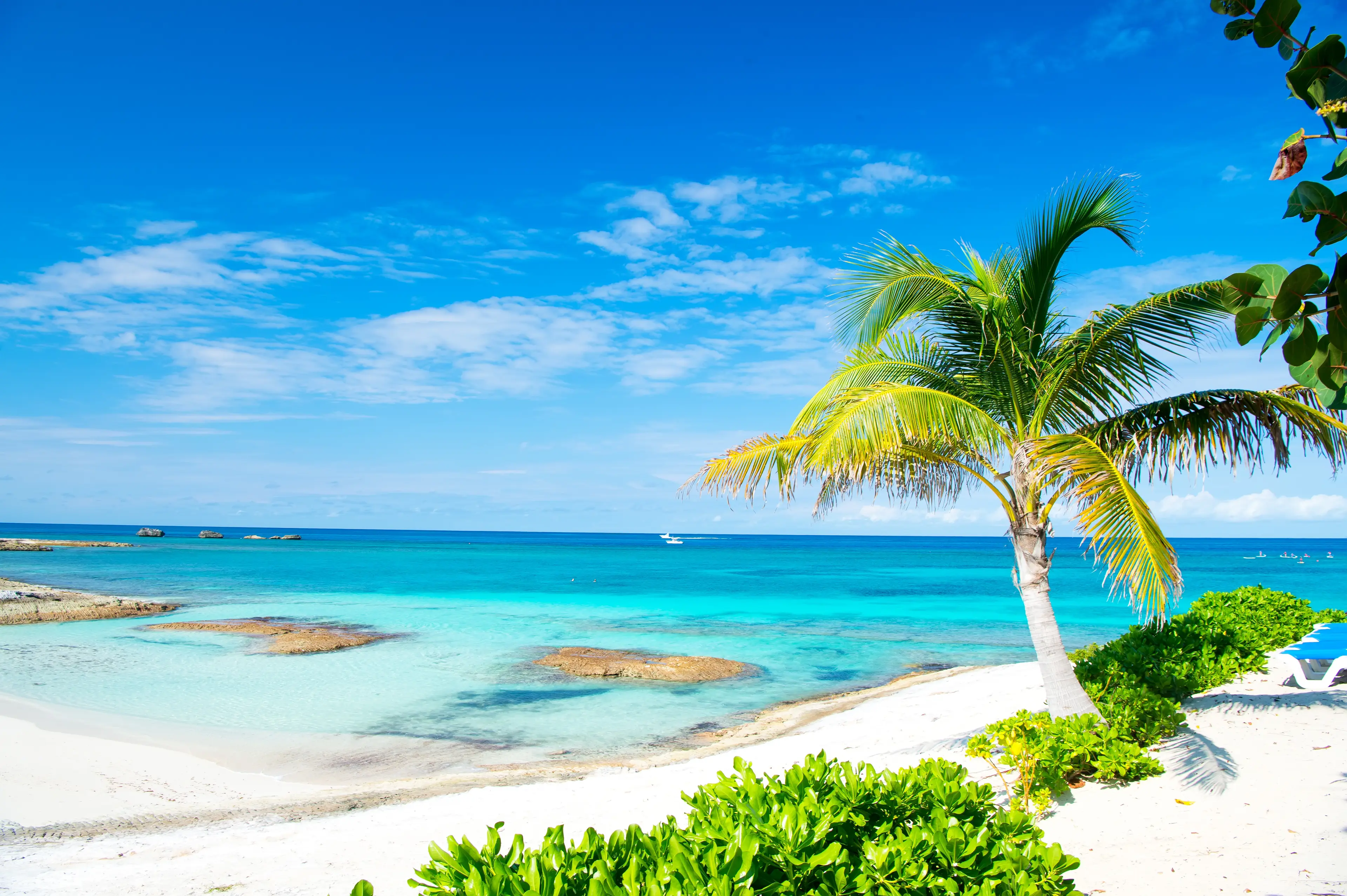 Beach on the Great Stirrup Cay